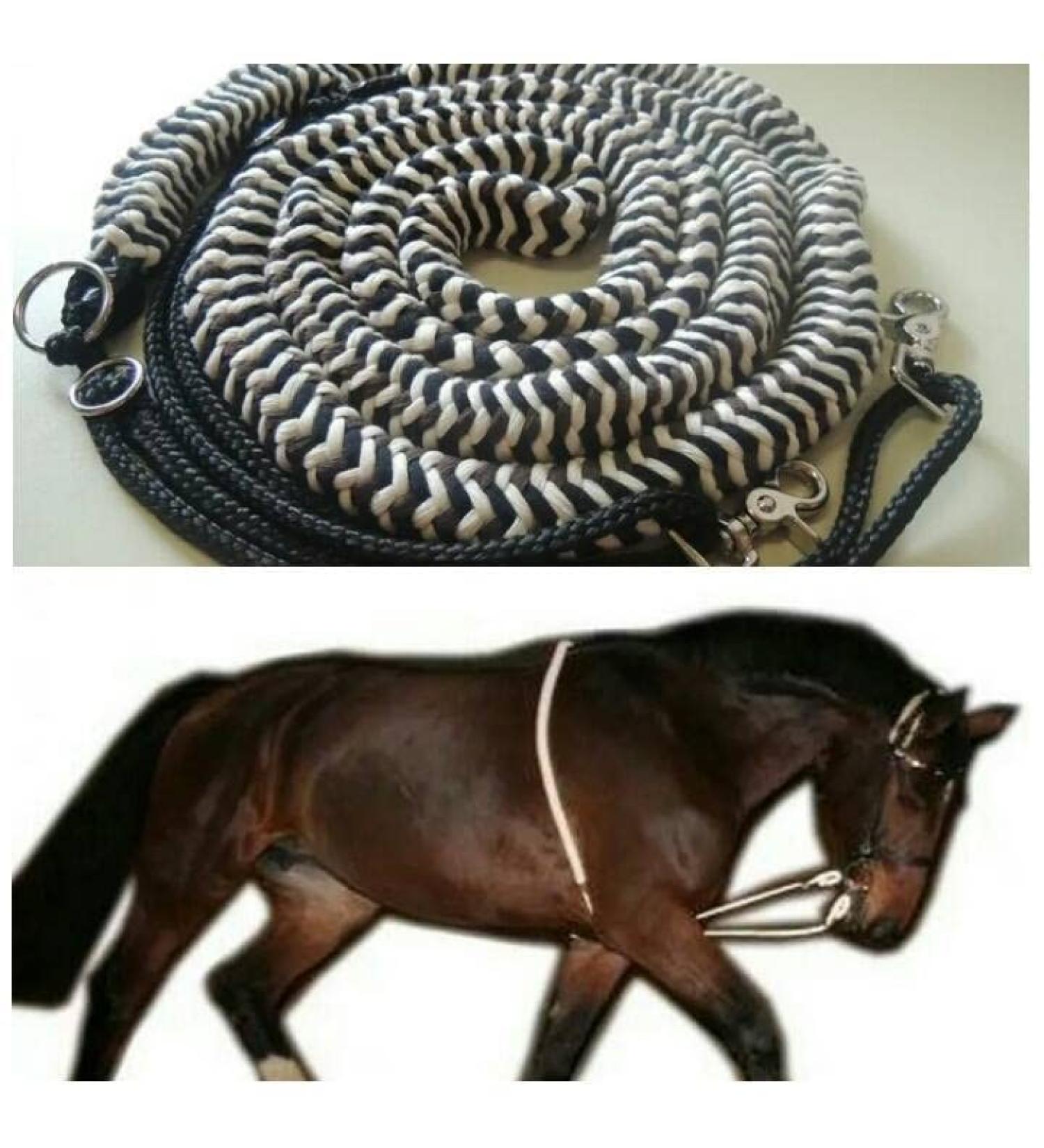 Pferdeseile_DE Lunging aid - the ORIGINAL - Made in Germany - Size COB