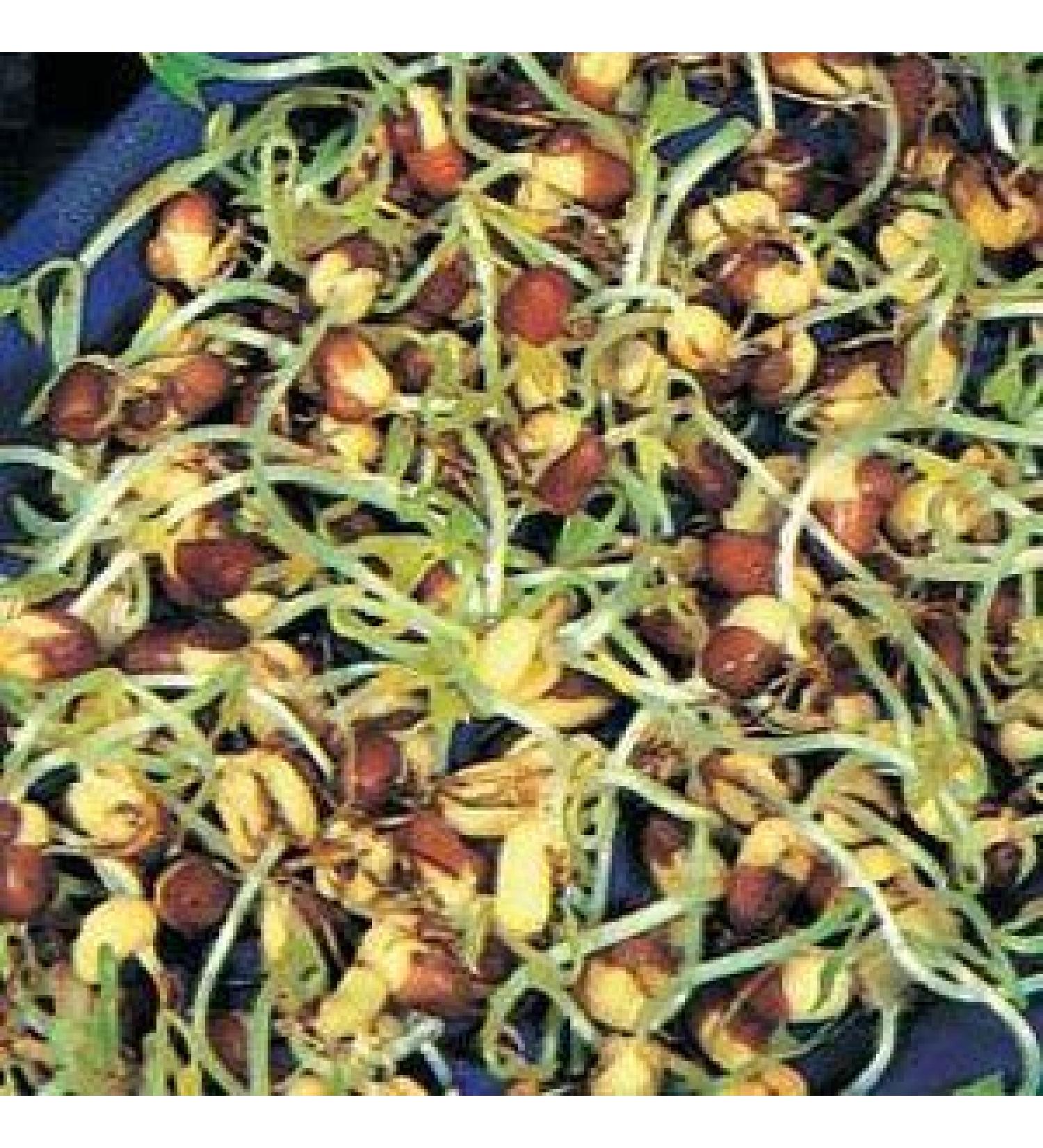 Potseed Organic Bean Germinating Seeds 200 gm