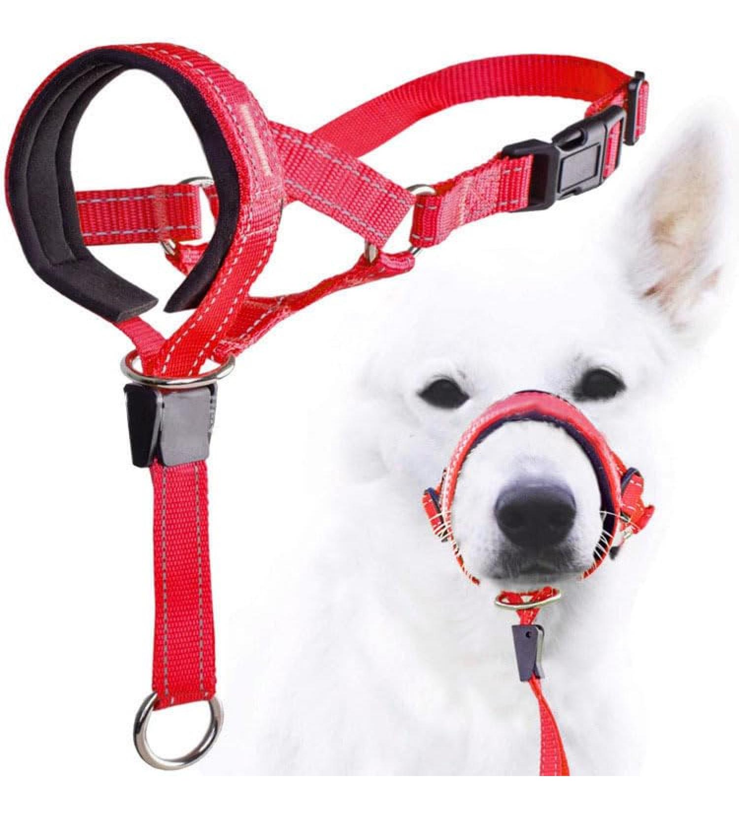 Zerodis Dog Head Halter with Safety Strap Stops Heavy Pulling On The Leash Padded Headcollar for Small Medium and Large Dog Sizes Adjustable Head Collar for Dogs (Red) L (about 6 8 Years Old) Red - Buy Online on GoSupps.com