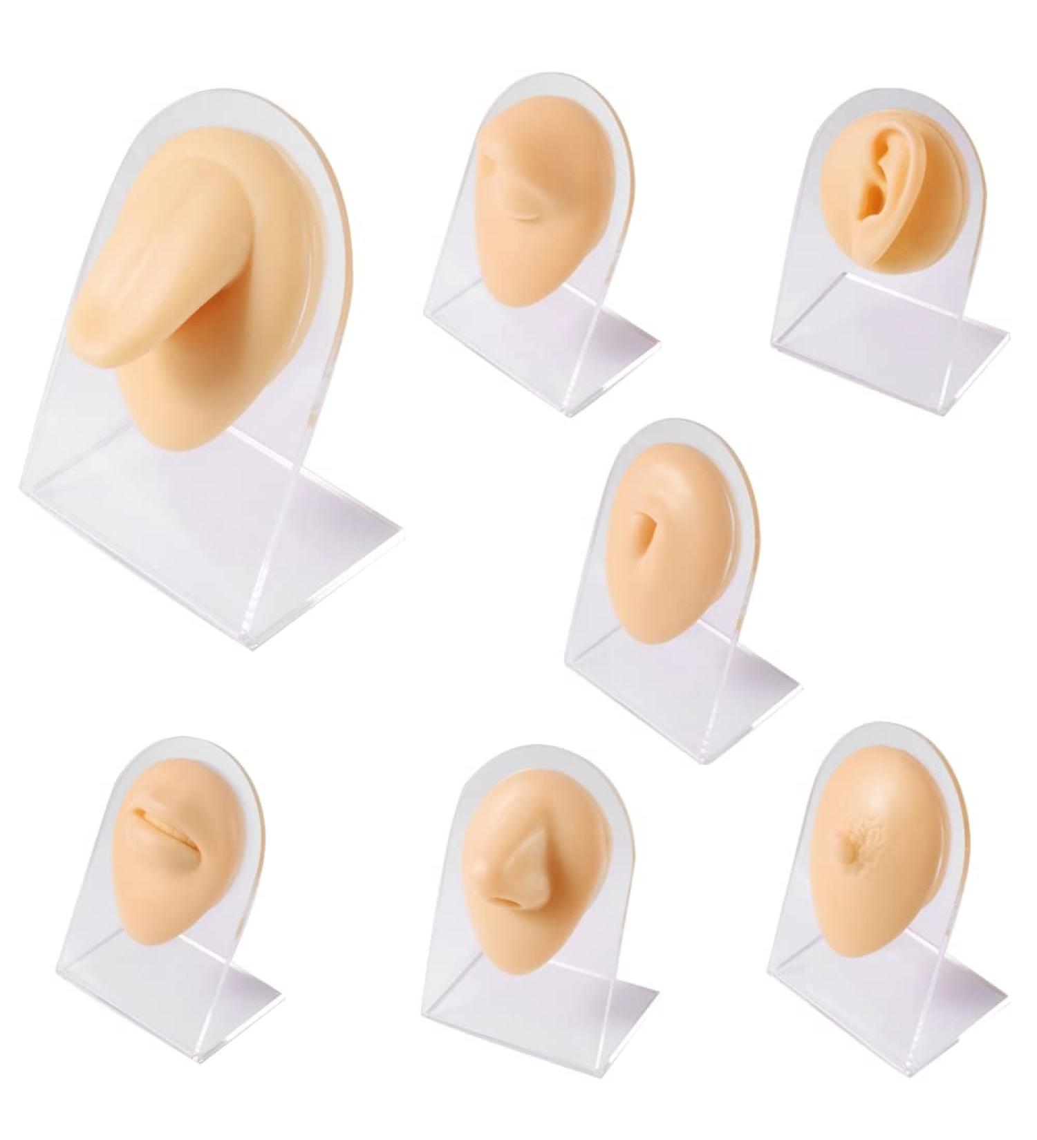 GatherTOOL 1PC Soft Silicone Flexible Nose Model Displays Human Ear Mouth Eye Tongue Model Simulation for Jewelry Display Teaching Tool (Color : Right Ear)