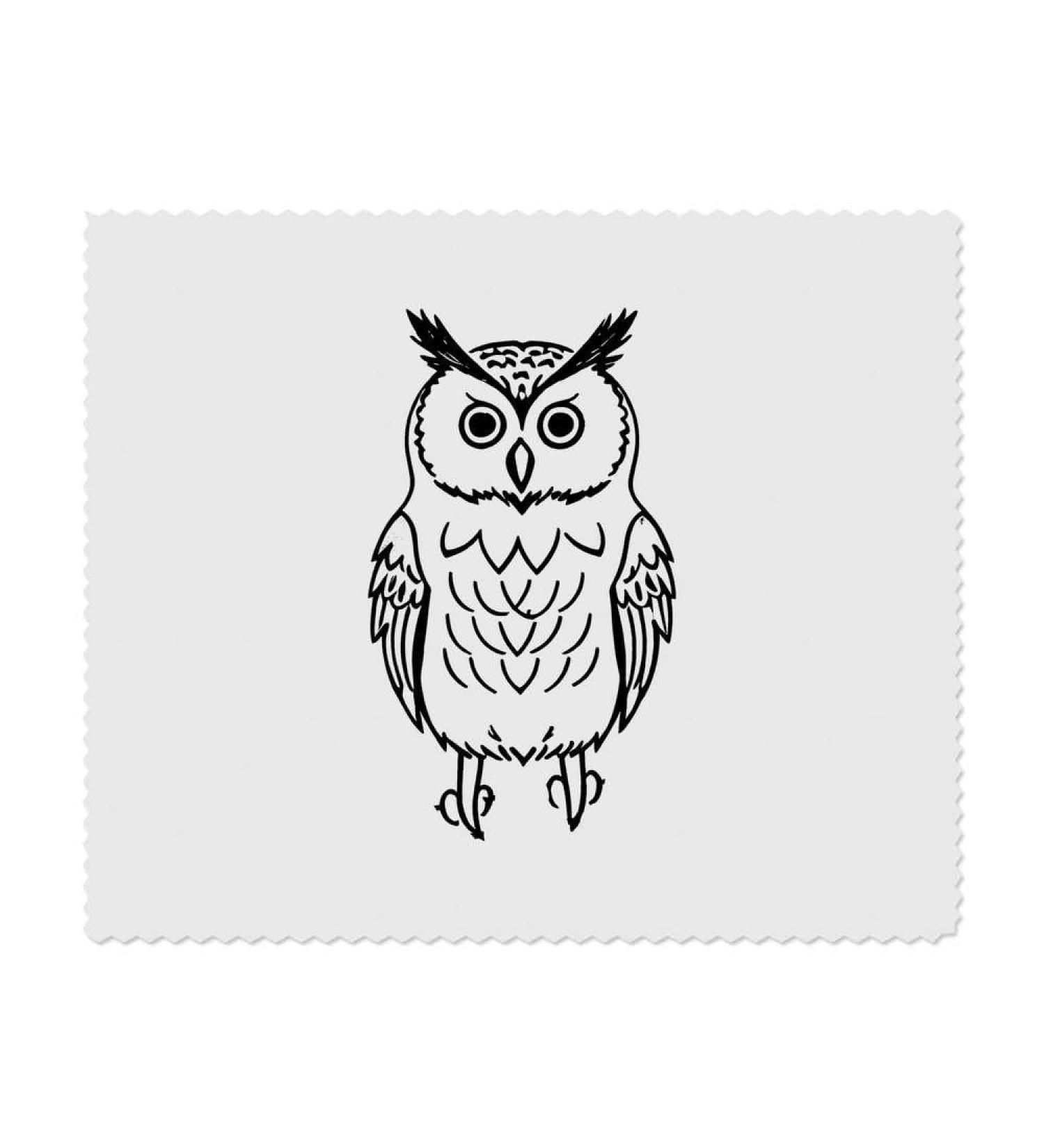 Buy 2 Cute Owl Microfiber Cleaning Cloths - Soft Durable & Eco-Friendly | Perfect for Home & Travel - Buy Online on GoSupps.com
