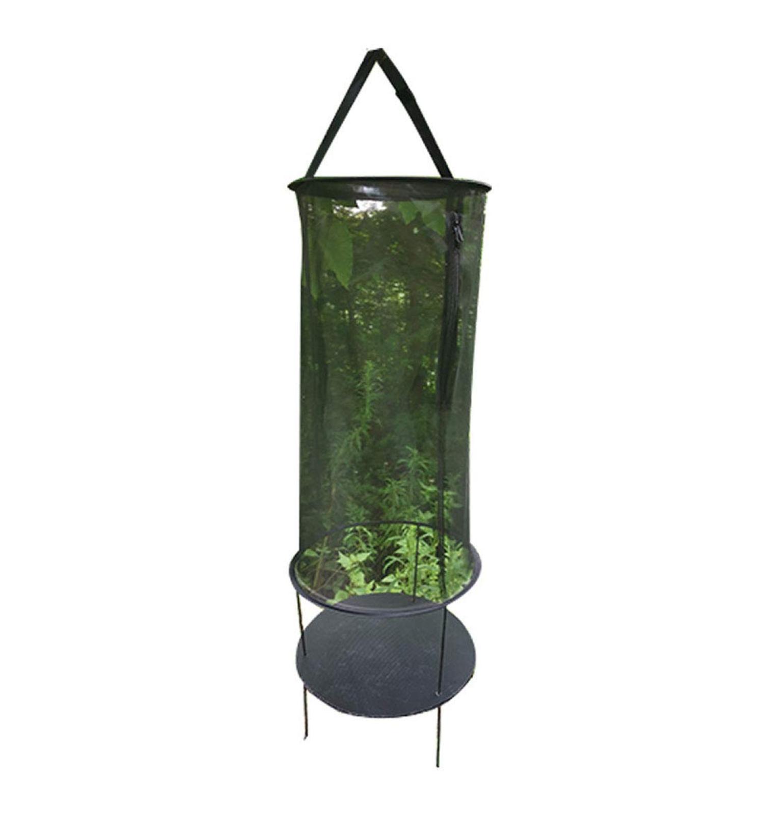 KUANDARMX Insect and Butterfly Habitat Cage Terrarium Butterfly Habitat Insect Cage - Round Pop Up Mesh Net Black - Buy Online on GoSupps.com