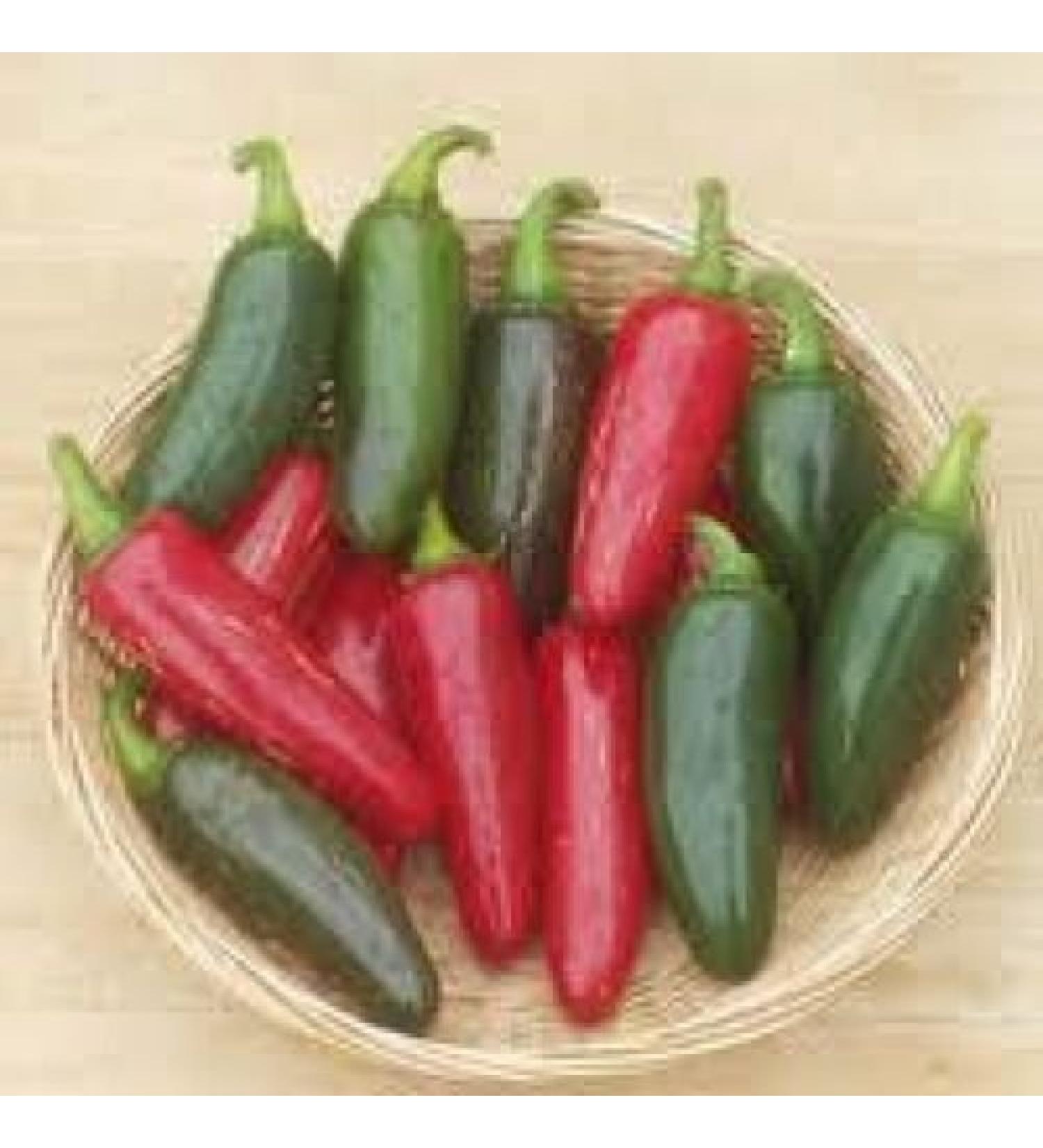 25 SEMI Jalapeno M Hot Pepper 2018
