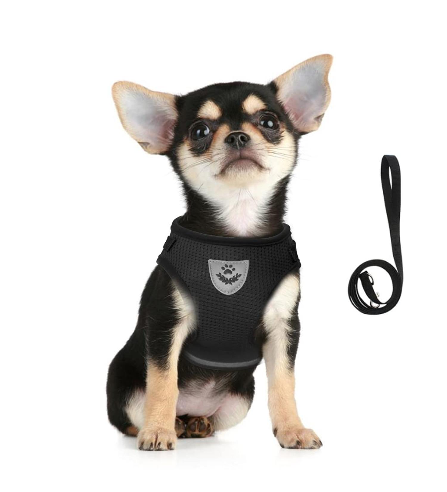 Buy Femax Dog Harness - Soft Mesh Padded Adjustable & Reflective for Walking Running & Training | Breathable & Comfortable - Fits Chest 35-40 cm - Black - Buy Online on GoSupps.com