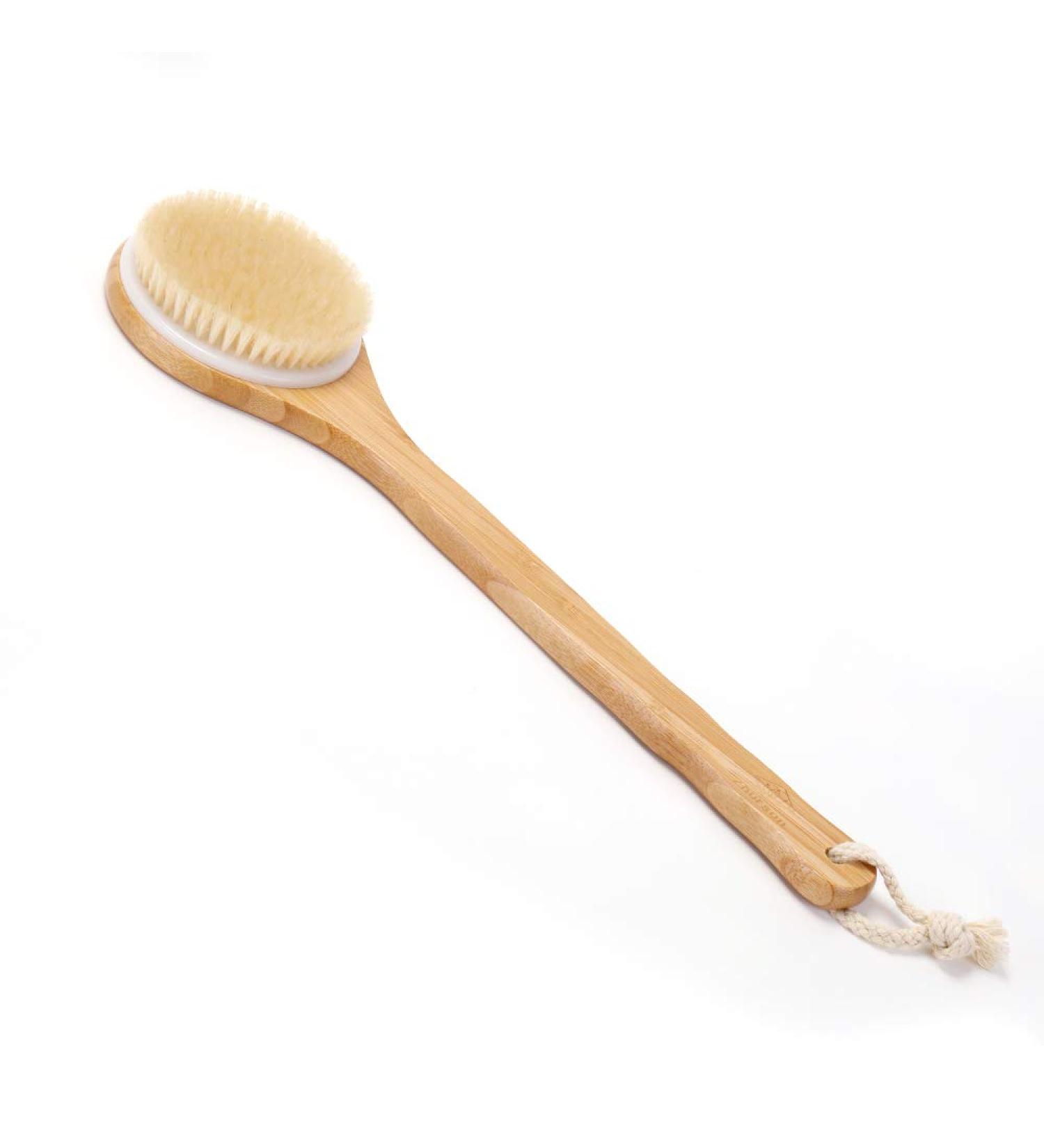 Zhurson Dry Body Brush - Natural Bristle Back & Shower Brush with Long Wooden Handle for Exfoliation Blood Circulation & Lymphatic Support - Buy Online on GoSupps.com