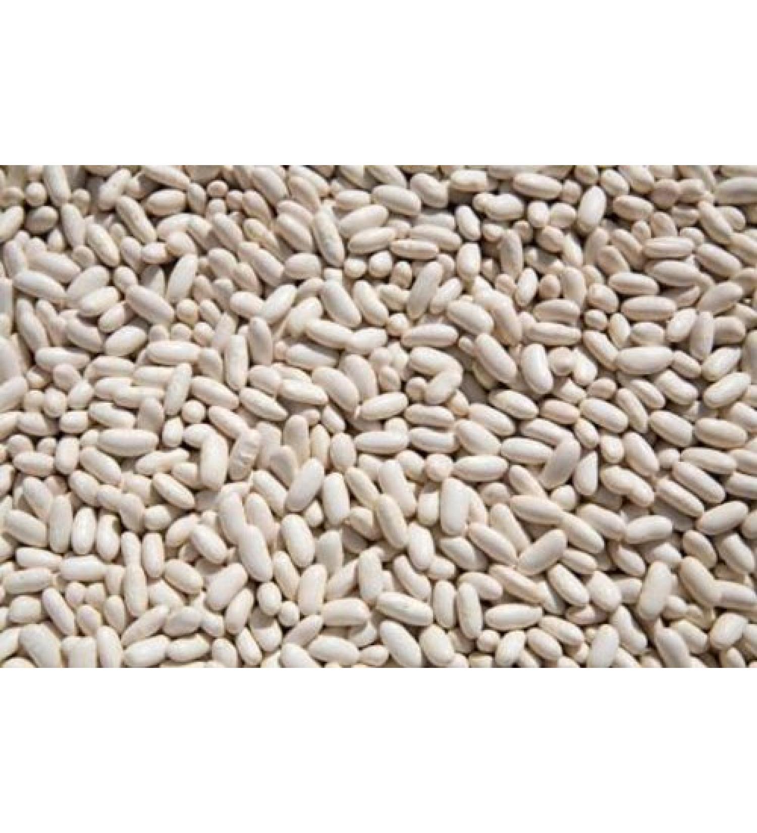 OliveNation Organic Cannellini Beans, Dry White Kidney Beans, Non-GMO, Gluten Free, Vegan - 2 pounds 2 Pound (Pack of 1)