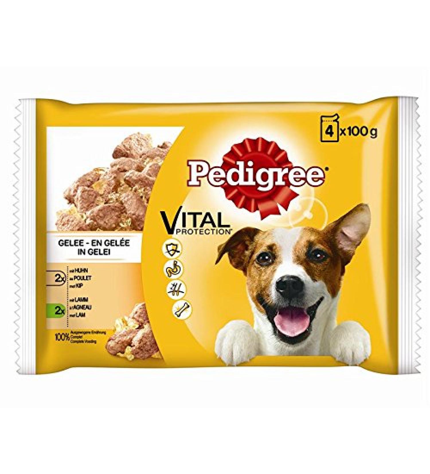 Pedigree Adult with Chicken & Lamb | 13 x 4 x 100g Wet Dog Food