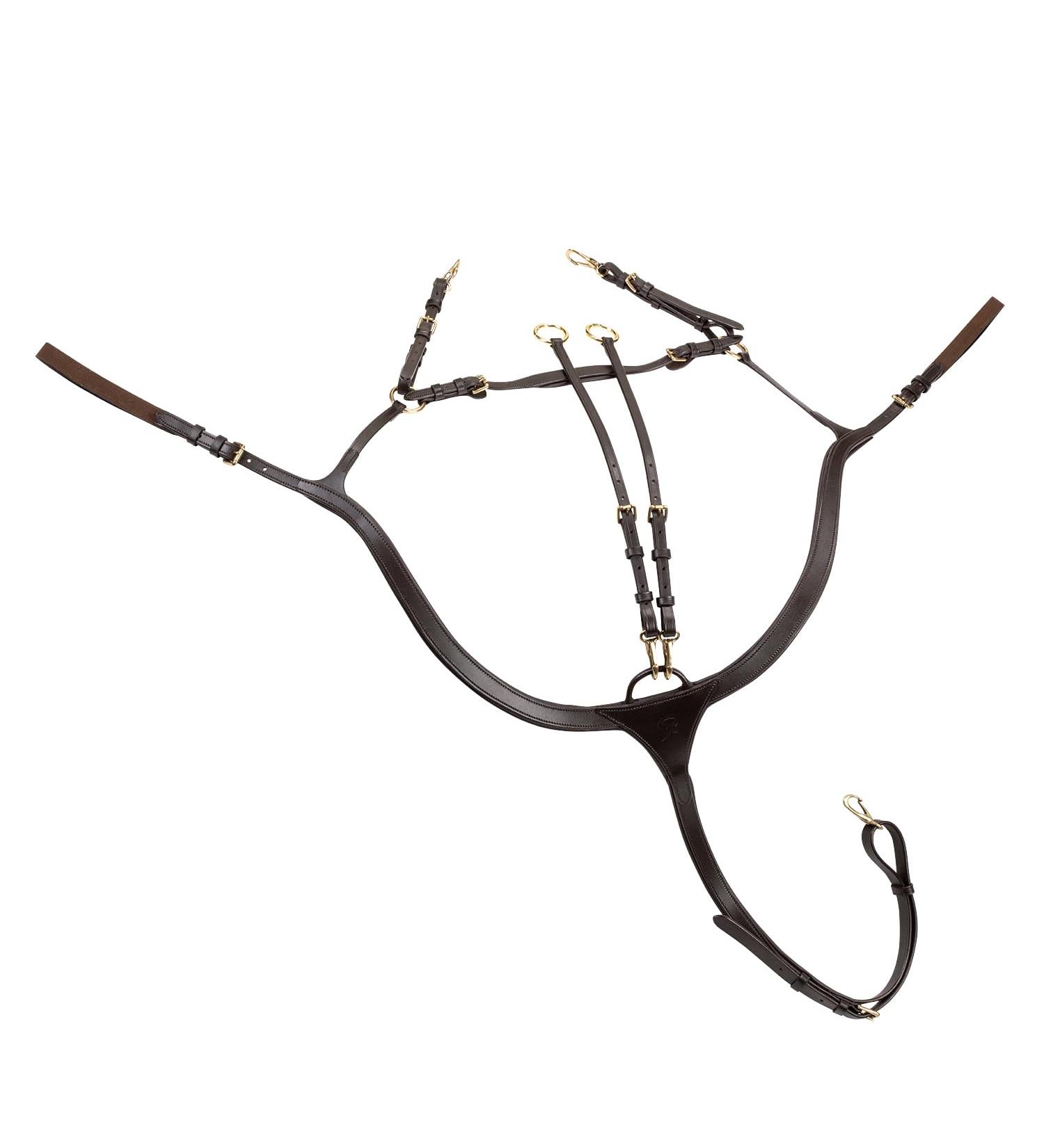 Sunride Real Leather Front Stuff Ascot Martingal for Horses - 5-Point & 3-Point Pony Brown - International Shipping Available - Buy Online on GoSupps.com