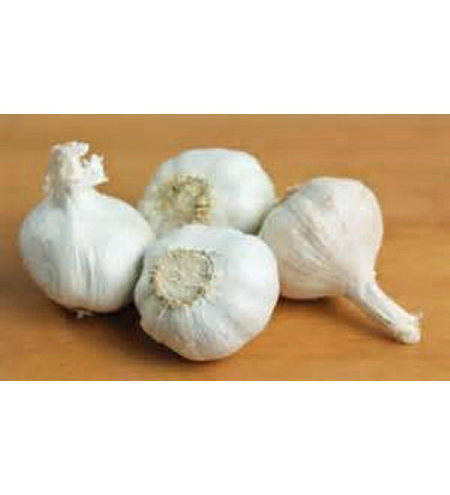 Fresh California Softneck Garlic Bulb - 20 Pack for Planting and Growing Your Own Garlic - Buy Online on GoSupps.com