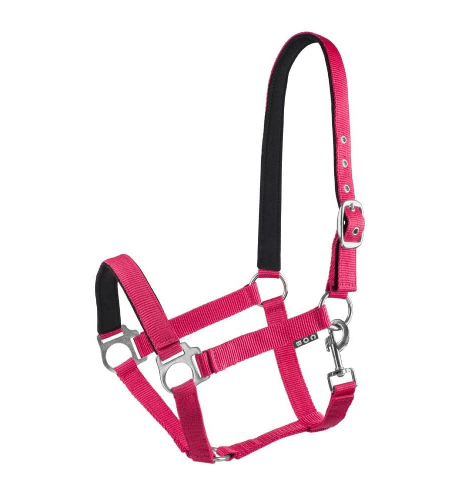Start Economic Lined Halter for horses thoroughbred bangs - stable halter with two -stage adjustment - chin and neck piece - pasture horse halter halter warmblood neoprene -fed (raspberry cob) COB (thoroughbred) raspberry