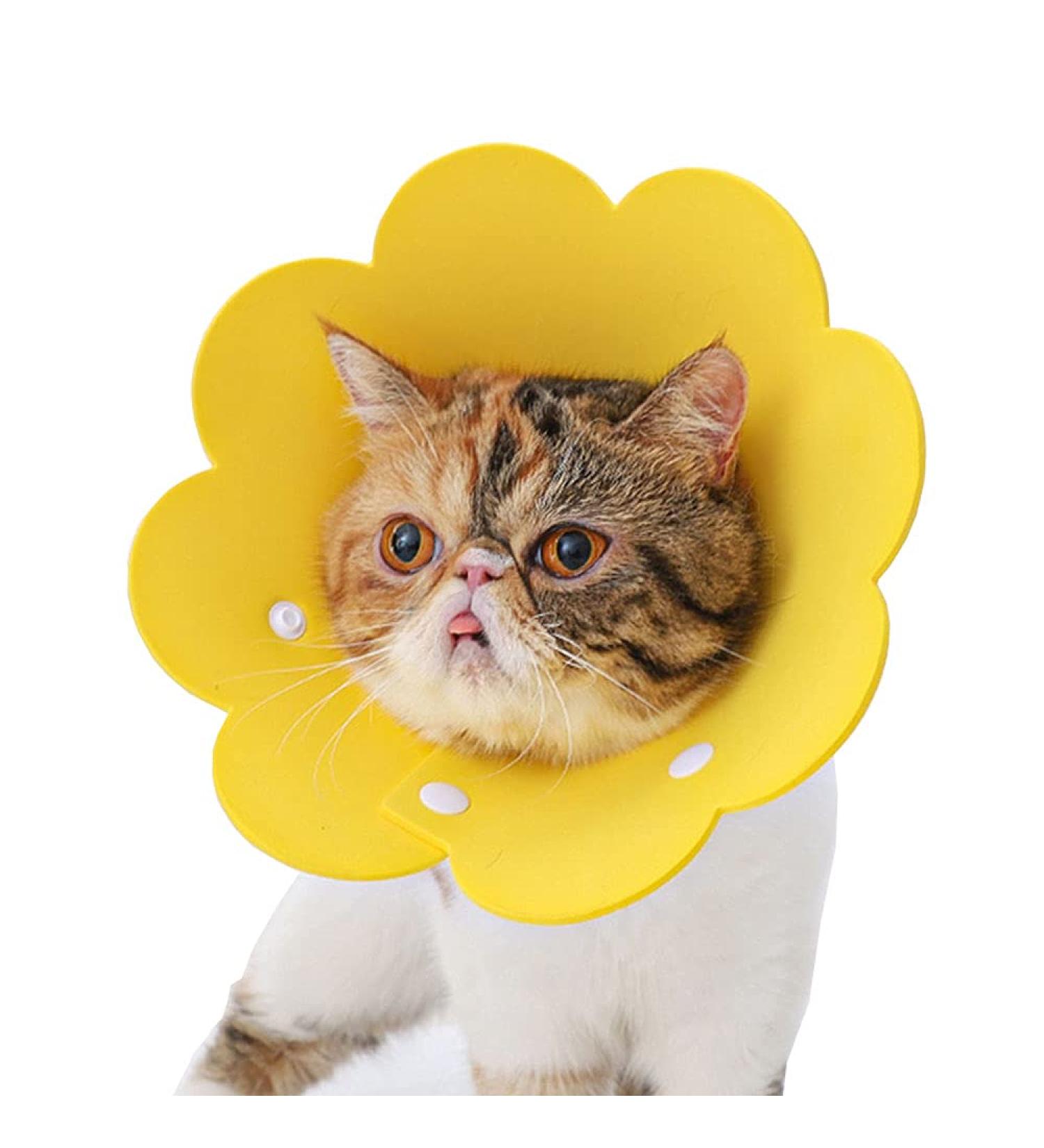 Tecatty Pets Calant Crauses Adjustable Anti-Delicious Collar for Cats | Lightweight Elizabethan Neck Collar (M Yellow) | International Shipping Available - Buy Online on GoSupps.com