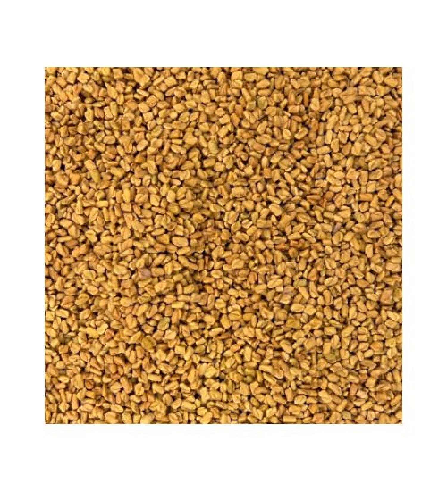 Fenugreek Seed Whole (114 G) - Buy Online on GoSupps.com