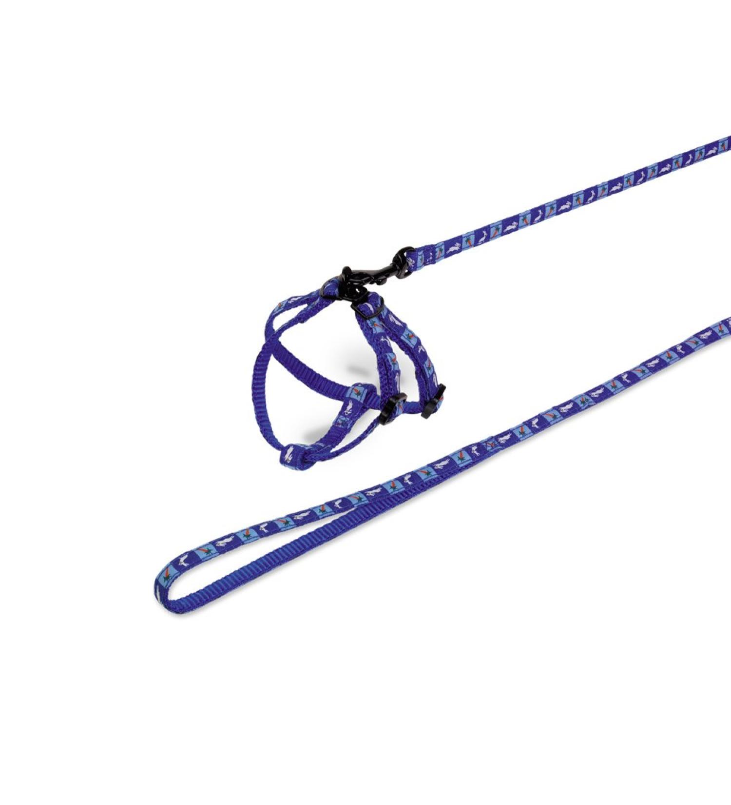 Nobby set nylon rabbit "Carrot" blue