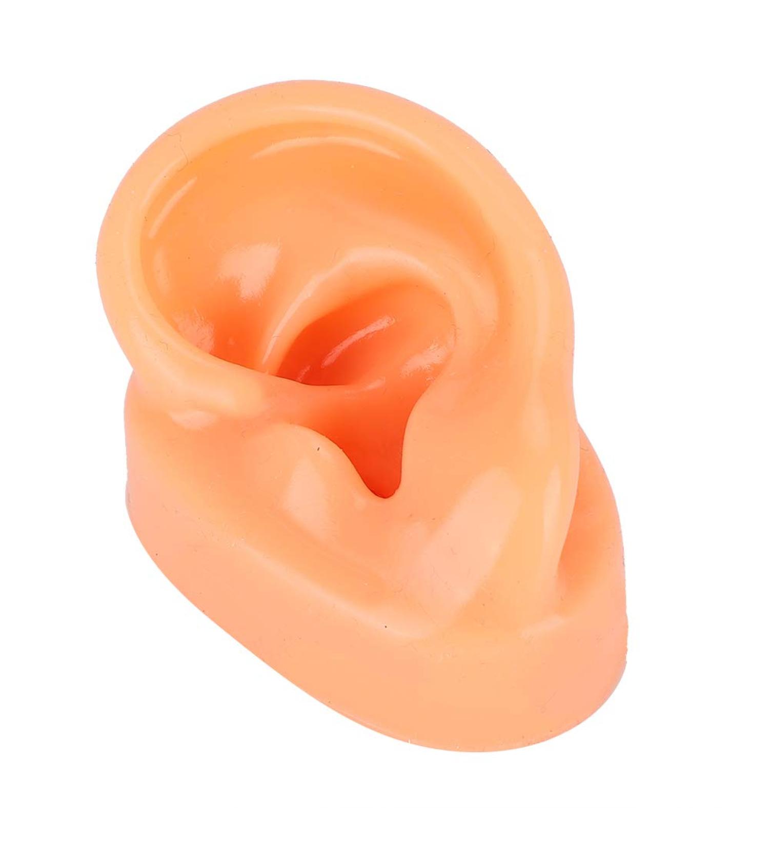 Buy Professional Silicone Left Ear Model - Anatomical Human Ohr Simulation for Acupuncture Training | International Shipping Available - Buy Online on GoSupps.com