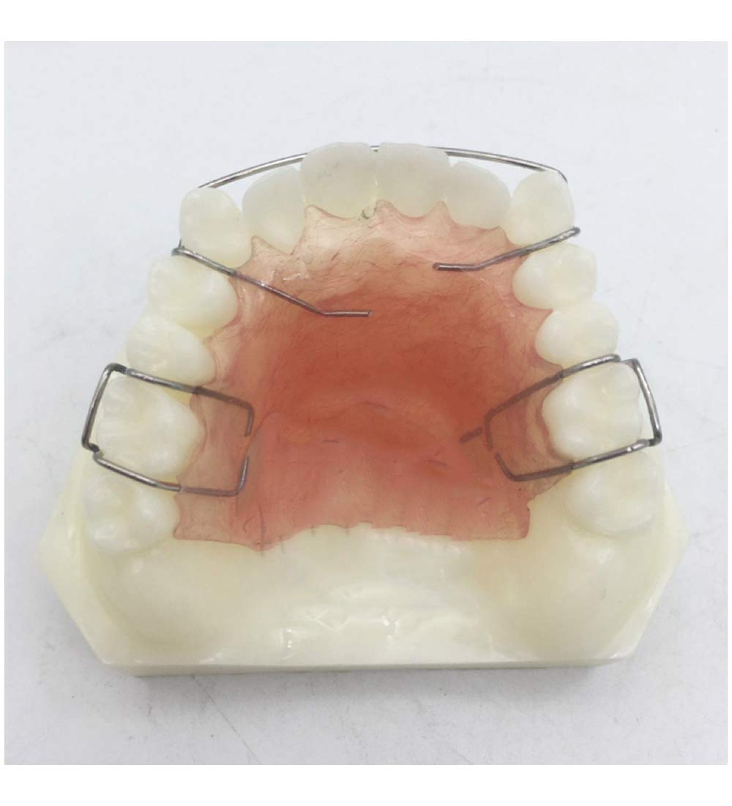 Fhuili Dental Teeth Model for Orthodontics Training - KFO Retainer Study & Teaching Simulation - Buy Online on GoSupps.com