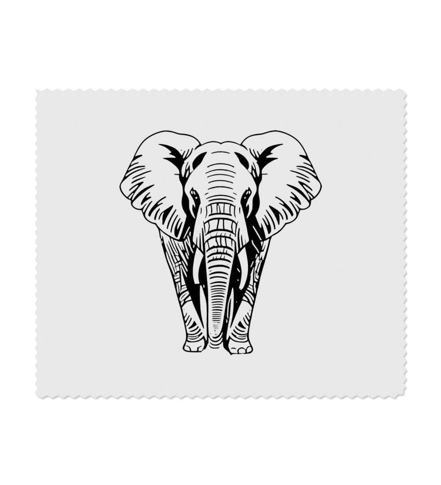 Buy 2 x Microfiber Cleaning Cloths 'African Elephant' | Eco-Friendly High Absorbency - International Shipping Available - Buy Online on GoSupps.com