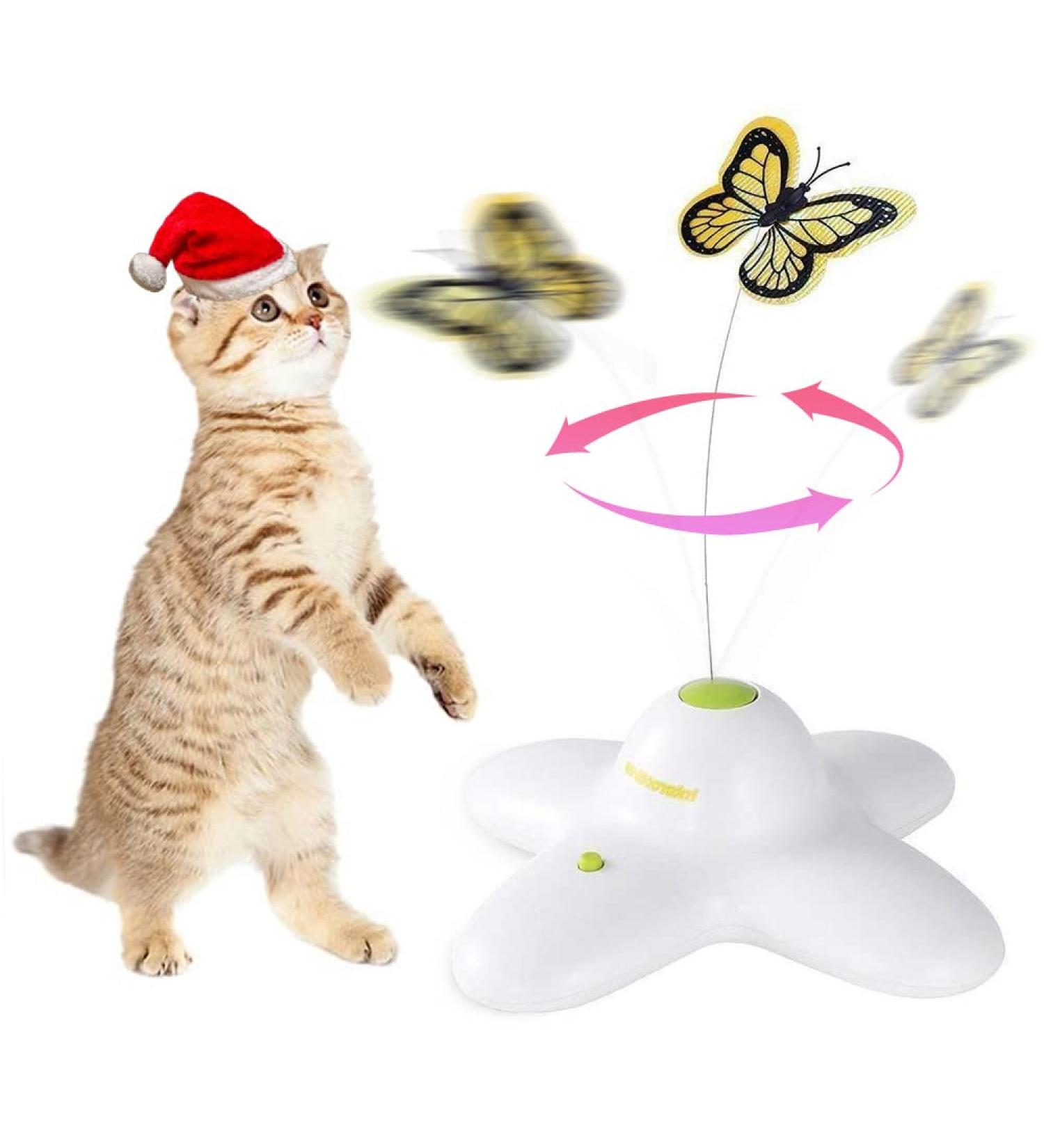 Interactive Butter-Fly Cat Toy with Rotating Flutter Bug and Replacements - For Indoor Cats by All For Paws - Buy Online on GoSupps.com