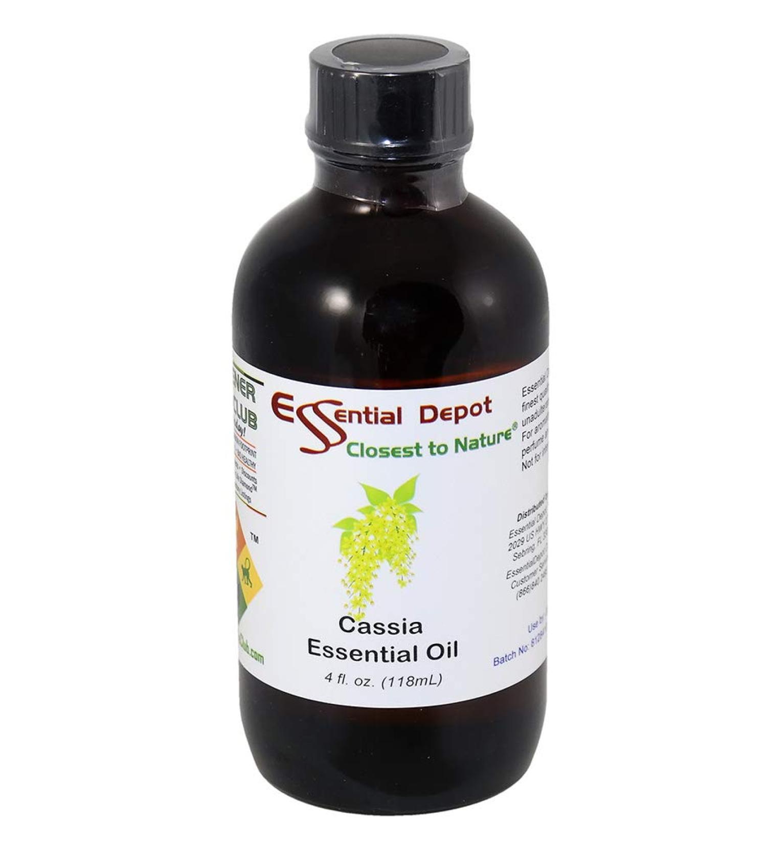 Cassia Essential Oil 4 oz - GC/MS Tested - Premium Quality in Amber Glass Bottle - International Shipping Available - Buy Online on GoSupps.com