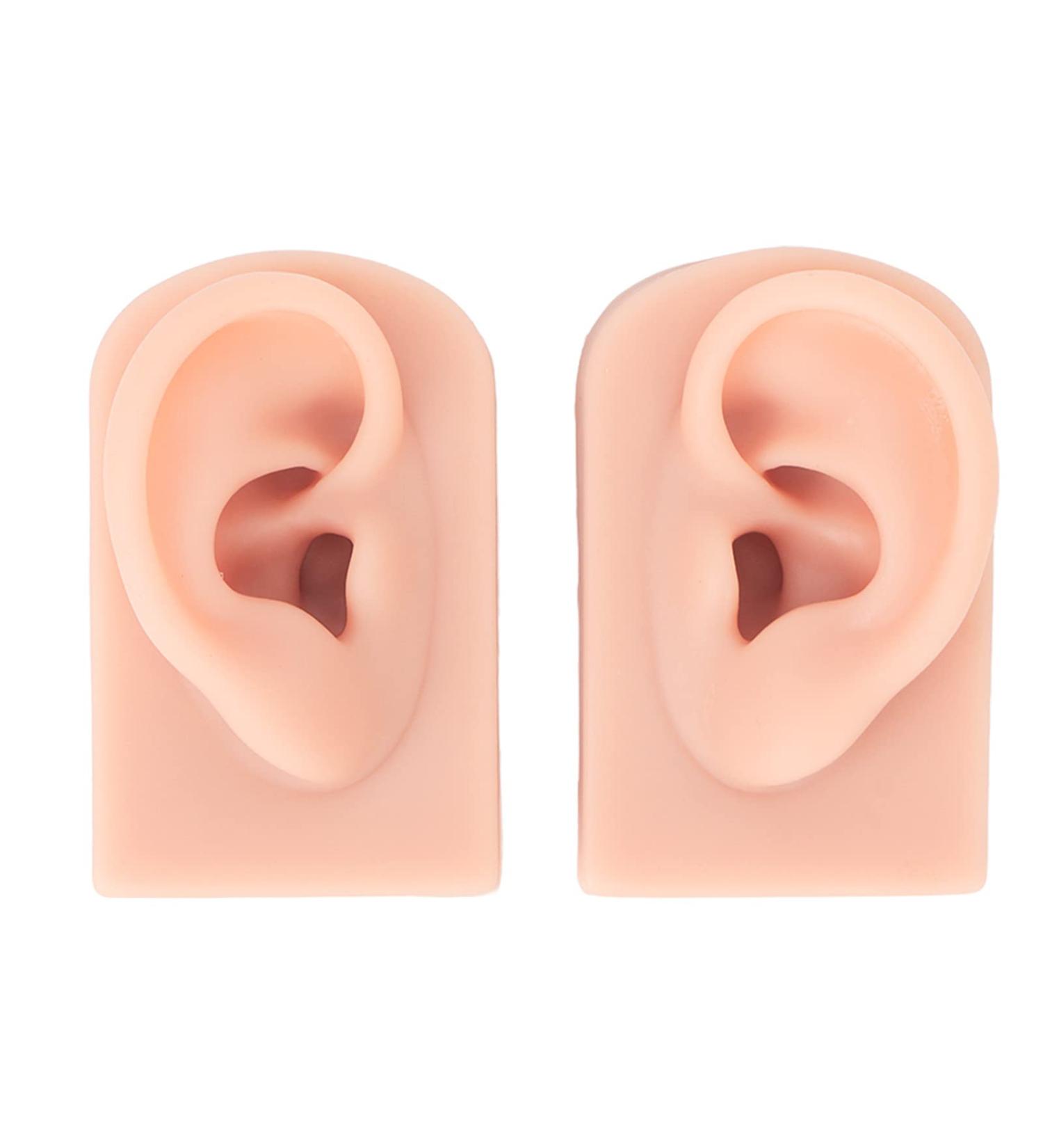 Reusable Silicone Ear Model - Flexible Fake Ear for Jewelry Exhibition & Acupuncture - 1 Pair - Buy Online on GoSupps.com