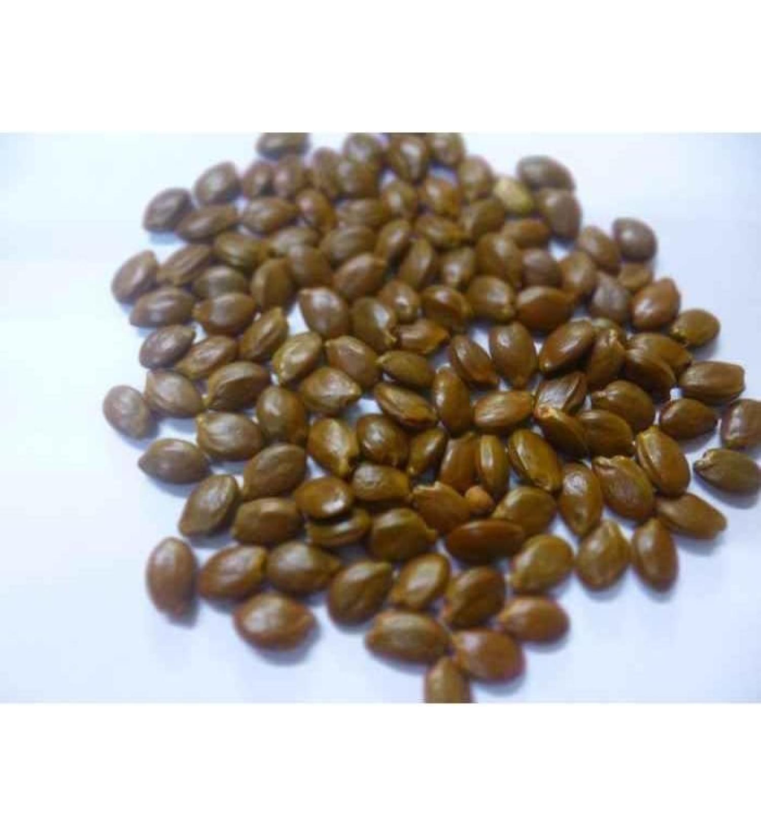 sm ayurvedic Borsali Beej - 250 g - Buy Online on GoSupps.com