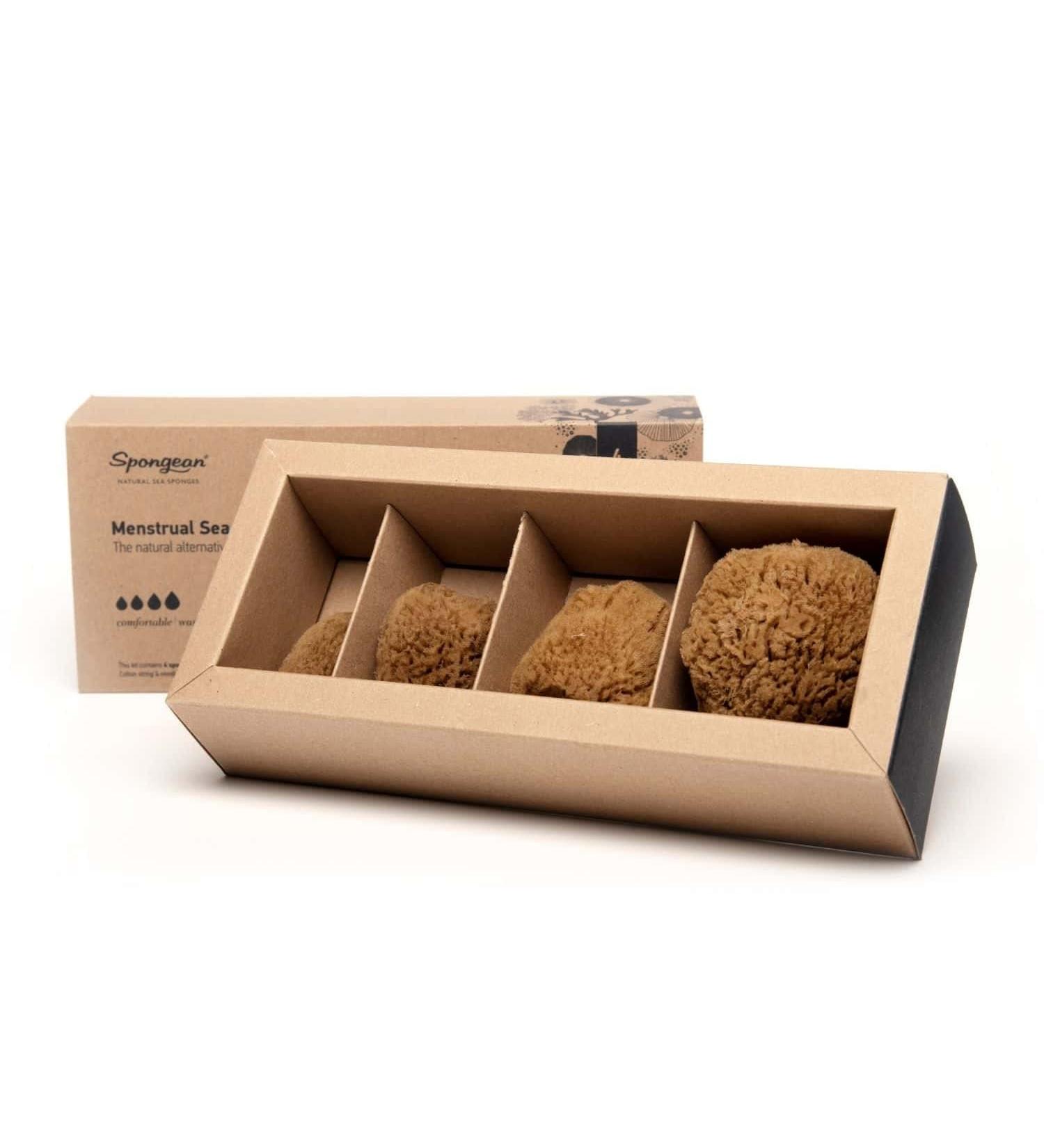 Menstrual Sponges - 4 Unbleached Eco-Friendly Pieces with Needle & Cotton Cord | Alternative to Pads & Tampons | Aristos - Buy Online on GoSupps.com