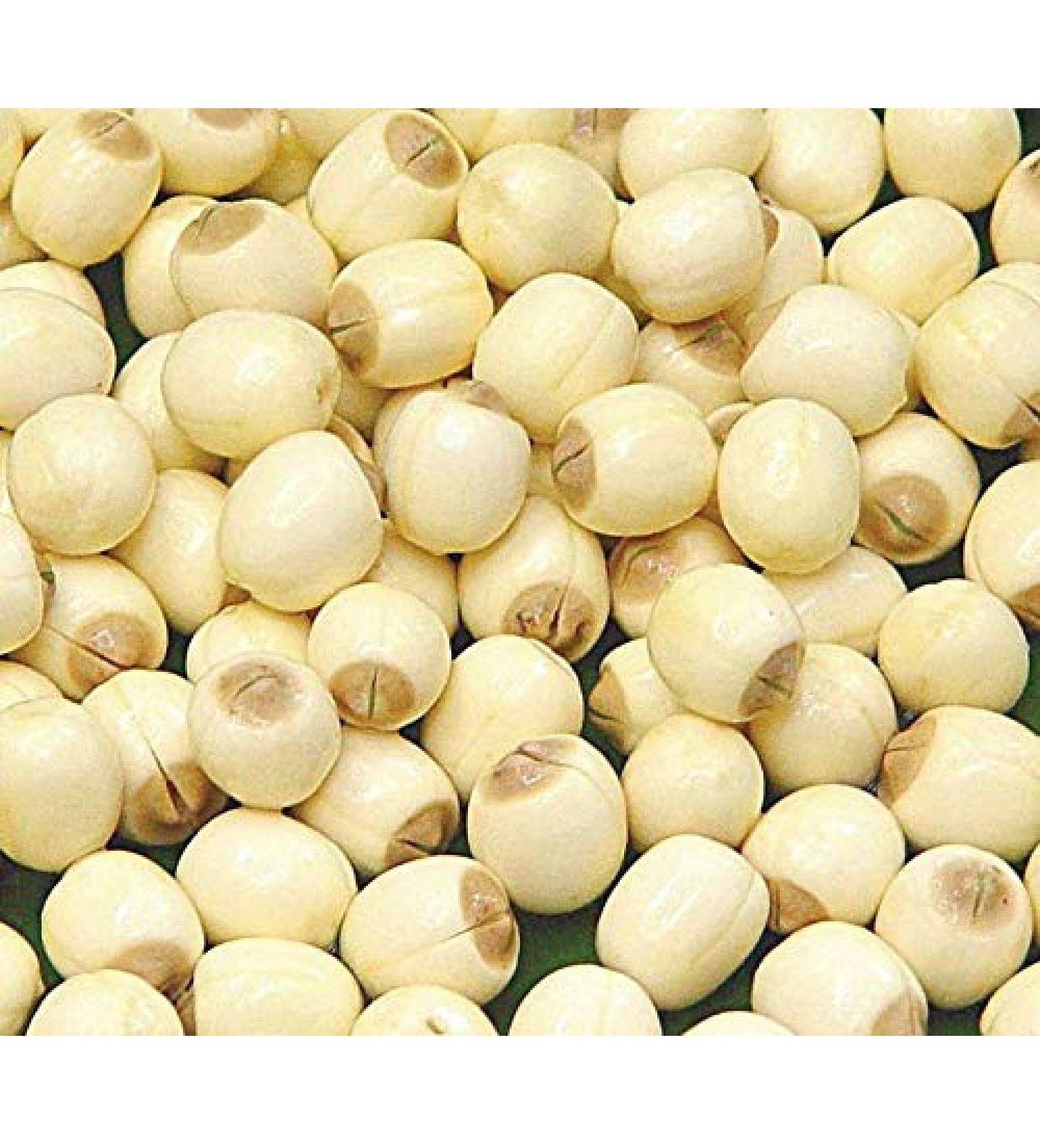 Balsara's Dried Lotus Seeds Edible 50g Vegetarian Lotus Nuts Cooking Ingredients Healthy Snack