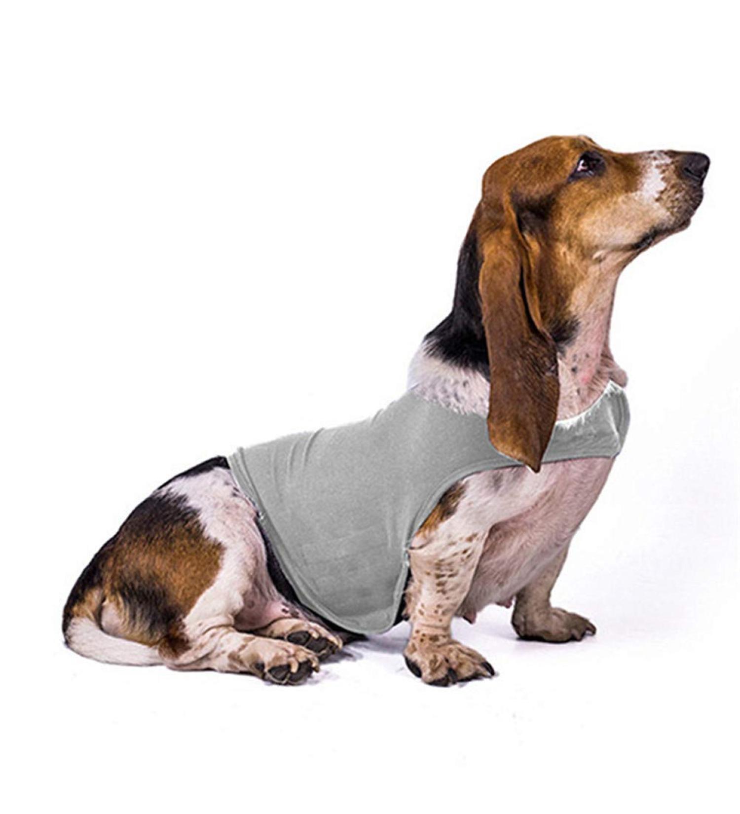 Beautyhe Dog Coat - Anti-Stress Vest for Dogs | Medical Recovery Suit & Calming Jacket - Light Gray Size 31 - Buy Online on GoSupps.com