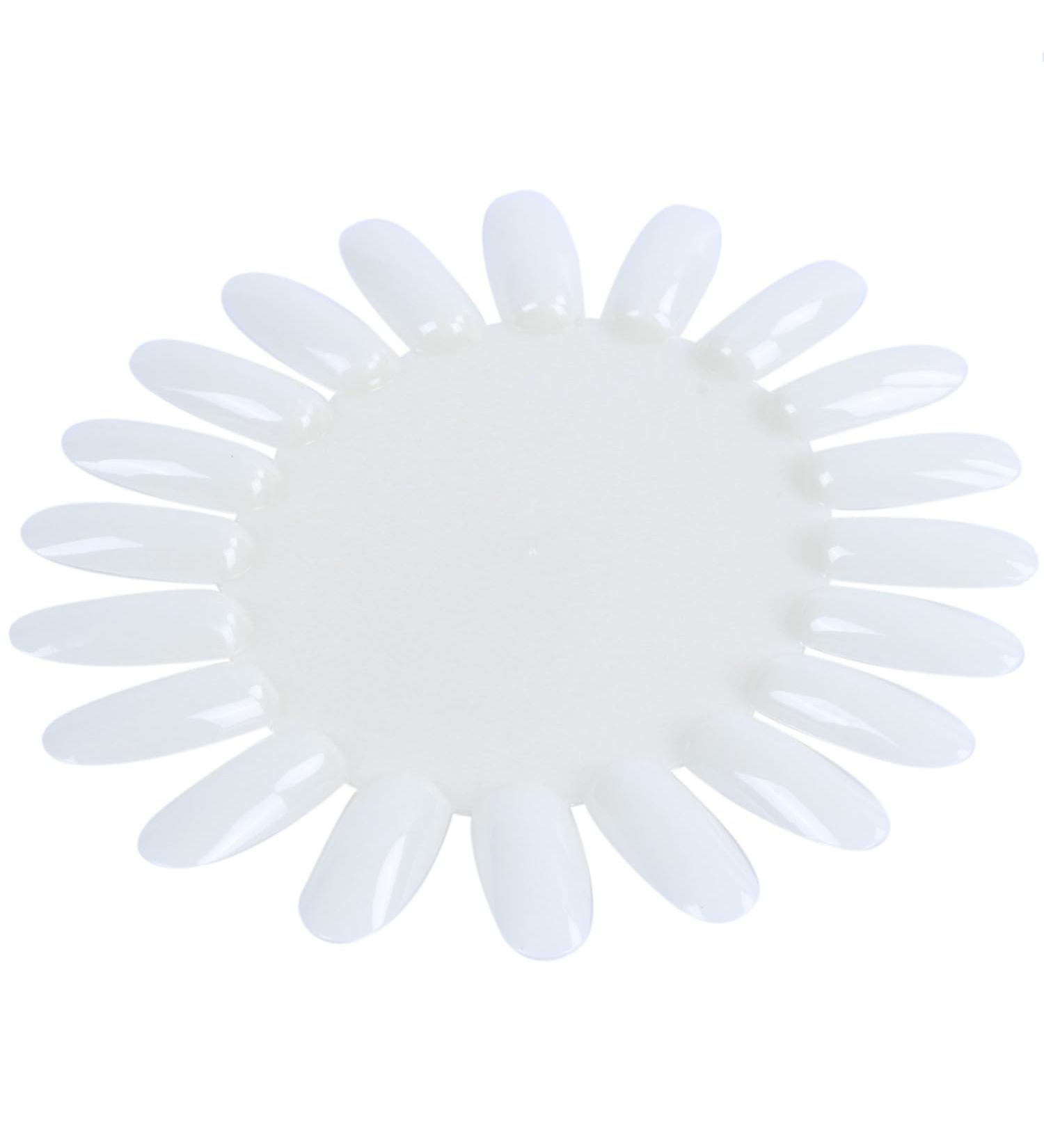 INTCHE 10 display Capsule false nail Tips acrylic Transparent varnish - Buy Online on GoSupps.com