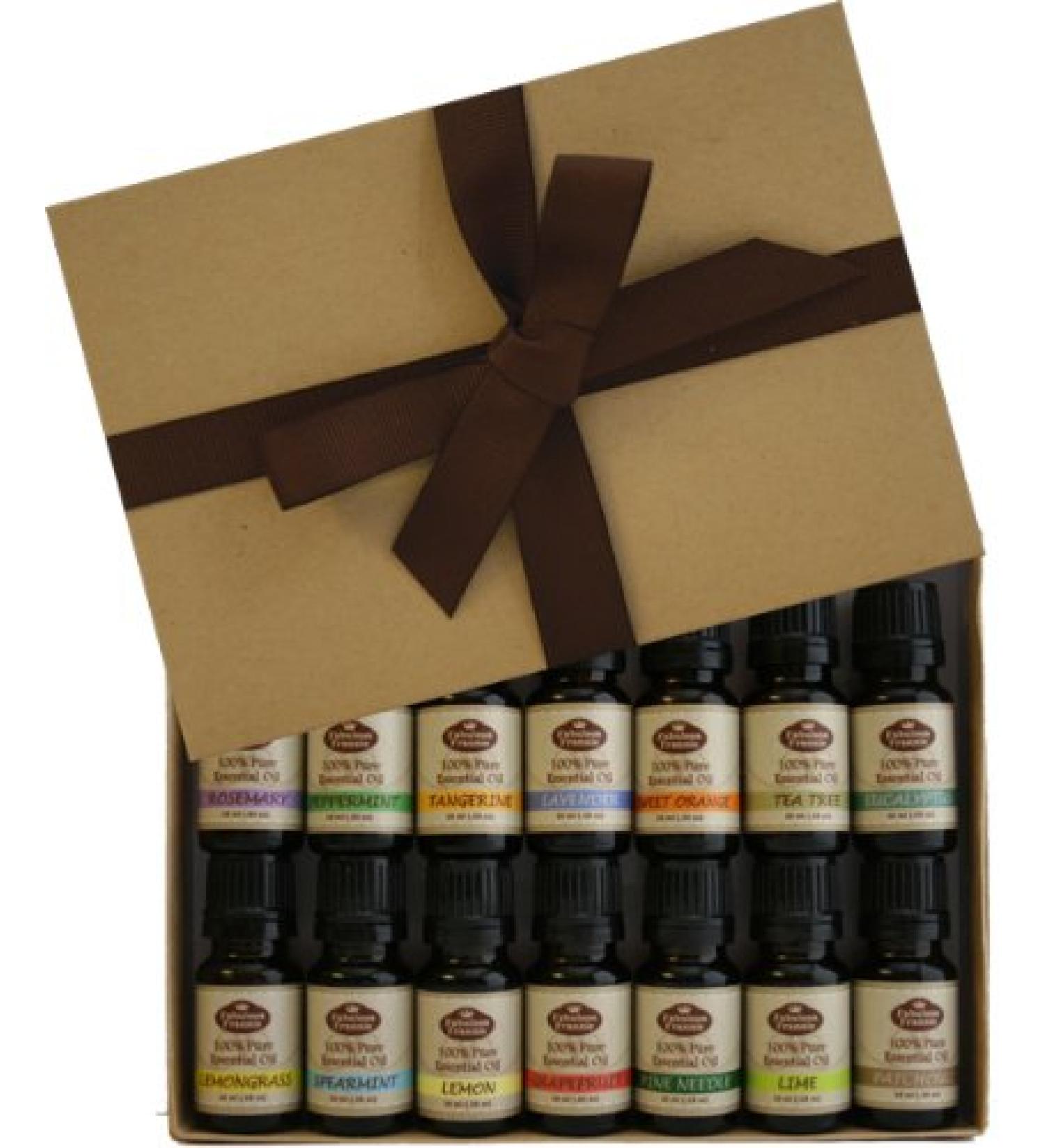 Fabulous Frannie Starter Set 14-10ml 100% Pure Essential Oil (Eucalyptus Grapefruit Lavender Lemon Lemongrass Lime Patchouli Peppermint Fir Needle Rosemary Spearmint Sweet Orange Tangerine and Tea Tree)