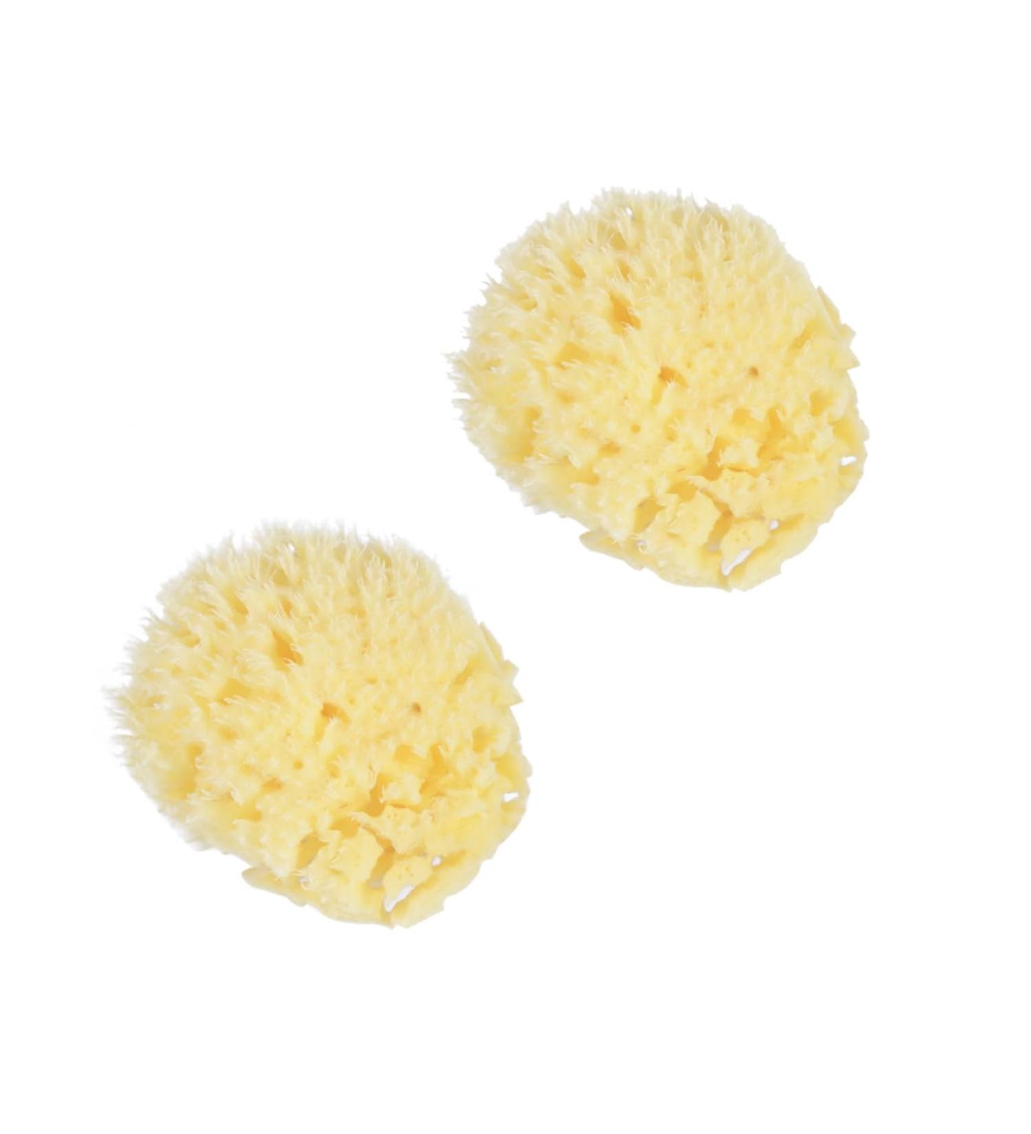 DOITOOL Bath Sponge Sponges Bath Shower Sponge Seaweed Sponge Natural Bath Flower Baby - Buy Online on GoSupps.com