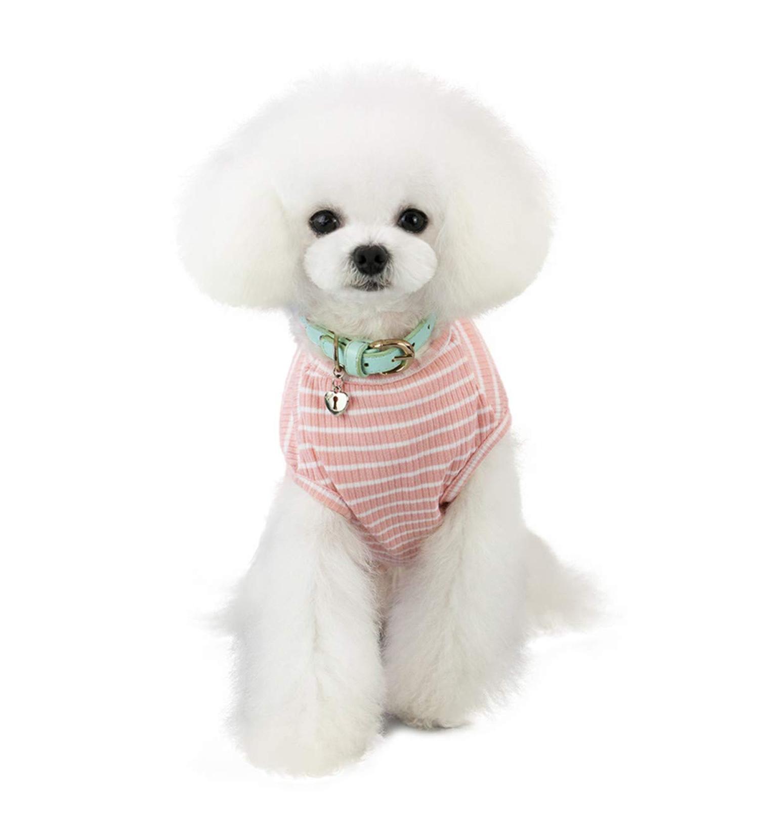 Shop Heroic Cute Striped Pet Pullover - Cozy Sweaters for Small Dogs & Cats in Pink Red Blue Gray | Ideal for Pets 1.2-9.0 kg - Buy Online on GoSupps.com