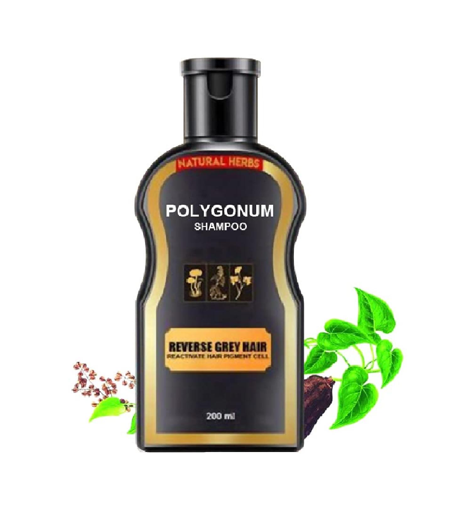 Organic Hair Darkening Shampoo and Conditioner Bar - Volumizing & Moisturizing Black Hair 200ML - Buy Online on GoSupps.com