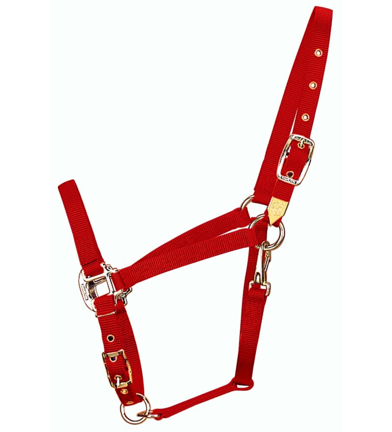 Hamilton 3/4-Inch Nylon Arabian Horse Waller with Adjustable Chin and Throat Snap Average 800 to 1100 Pounds Red Average 800 To 1100 Pounds red