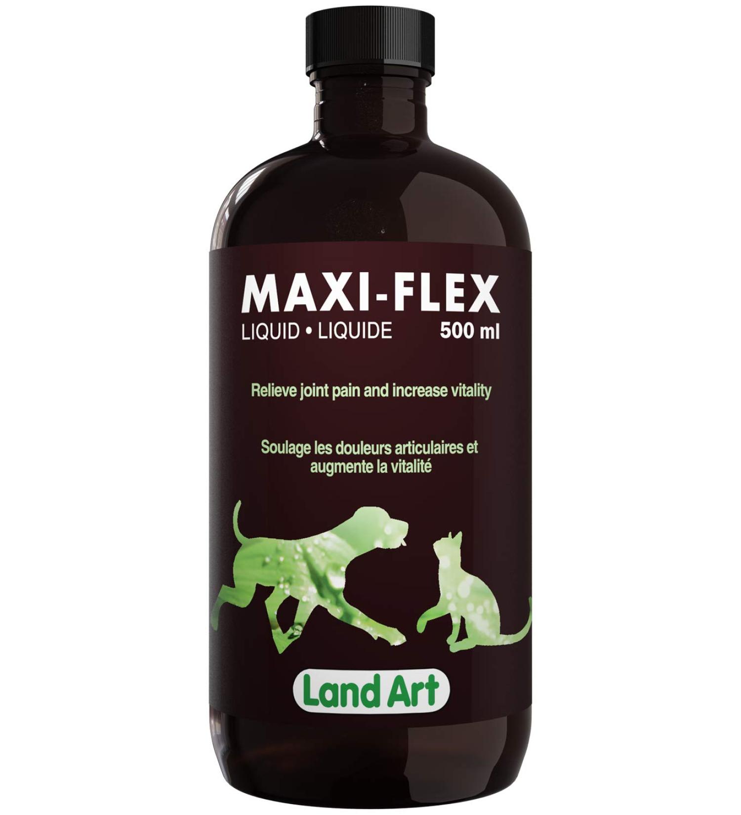 HIPS & Joints Pain Relief for Pets - Natural Formula with Glucosamine with Anti-Inflammatory Extract Natural Beef Flavor - 500ml GMO Free Gluten Free Sugar Free - Made in Canada - Buy Online on GoSupps.com