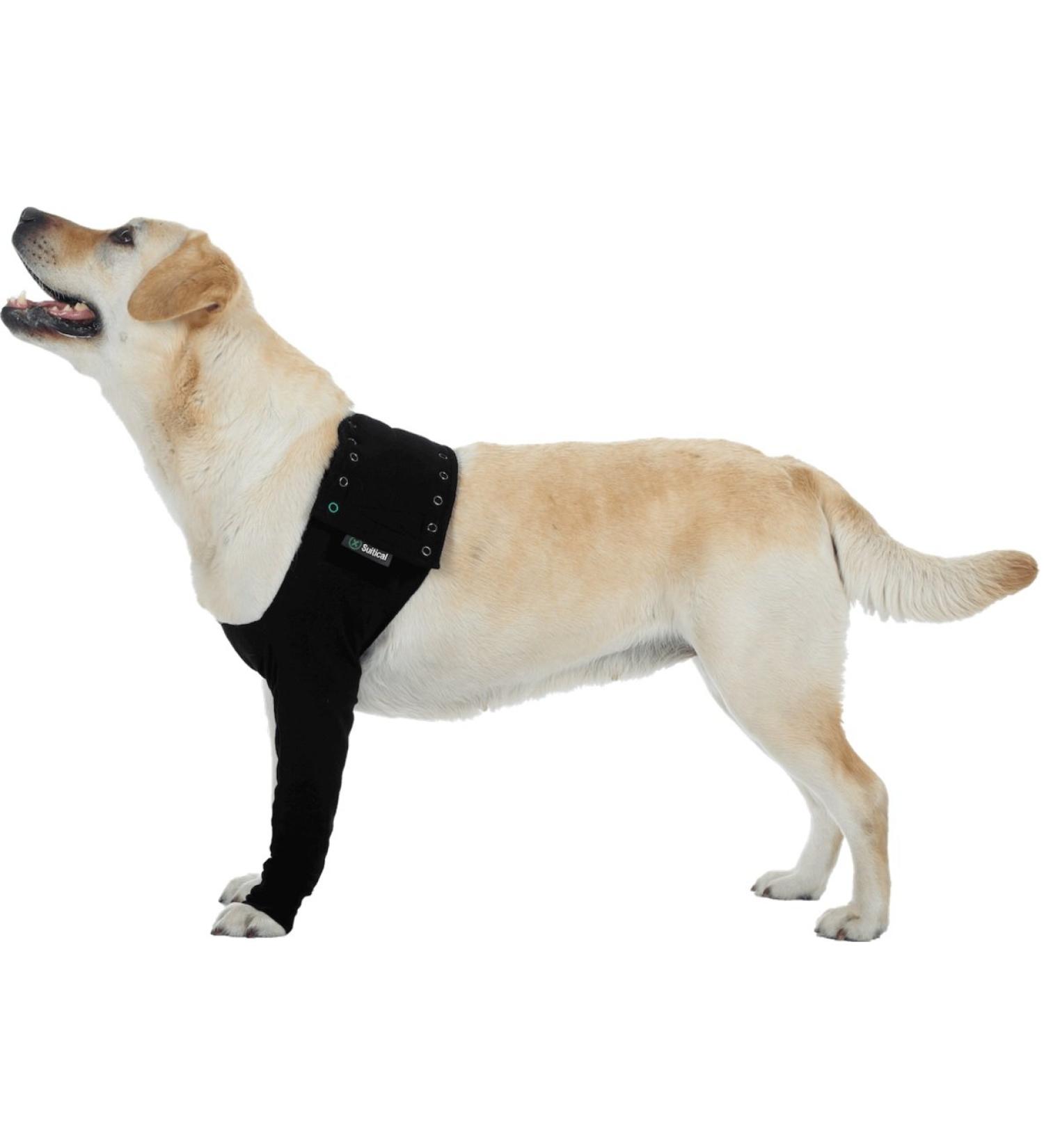 Suitical Recovery Sleeve for Dogs - XXS Black | Ideal Post-Surgery Healing Aid - Buy Online on GoSupps.com