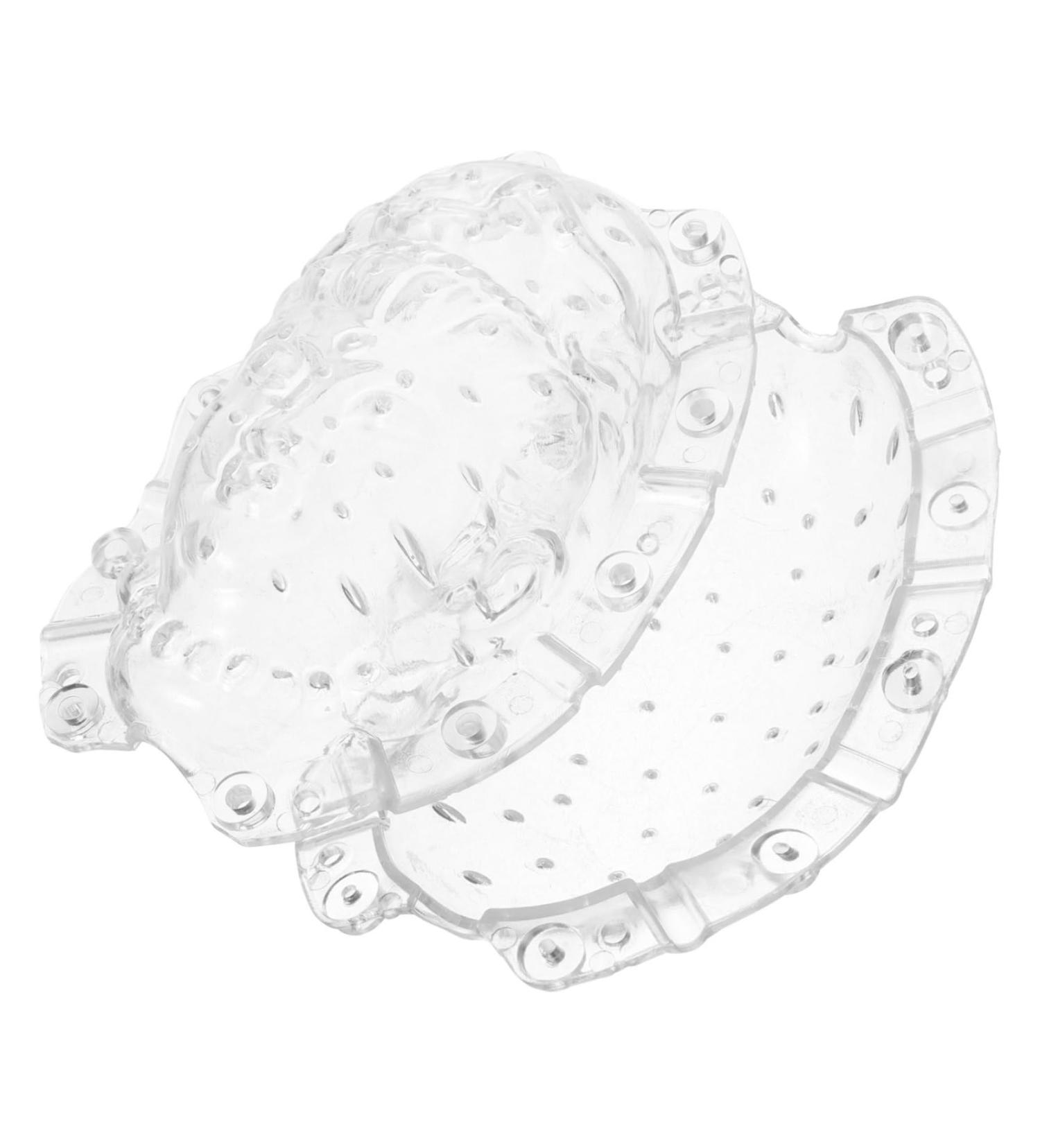 SUPVOX Clear Supply Shaped Transparent Tool Small for Growth Ginseng Melon Forming Fruits - Buy Online on GoSupps.com