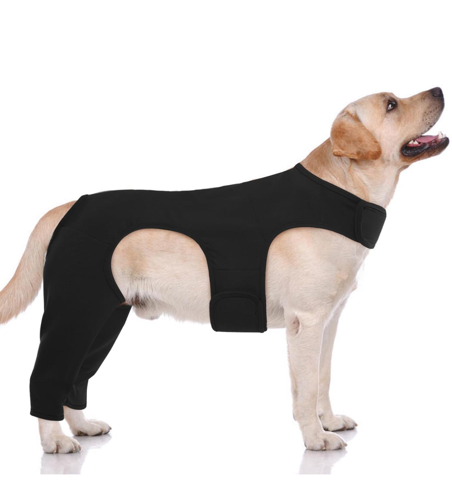 HJYOKUSO Recovery Suit for Dogs | Surgery Suit Hind Leg Protection Leak Cuff to Prevent Licking | Size L Black - Shop Now! - Buy Online on GoSupps.com