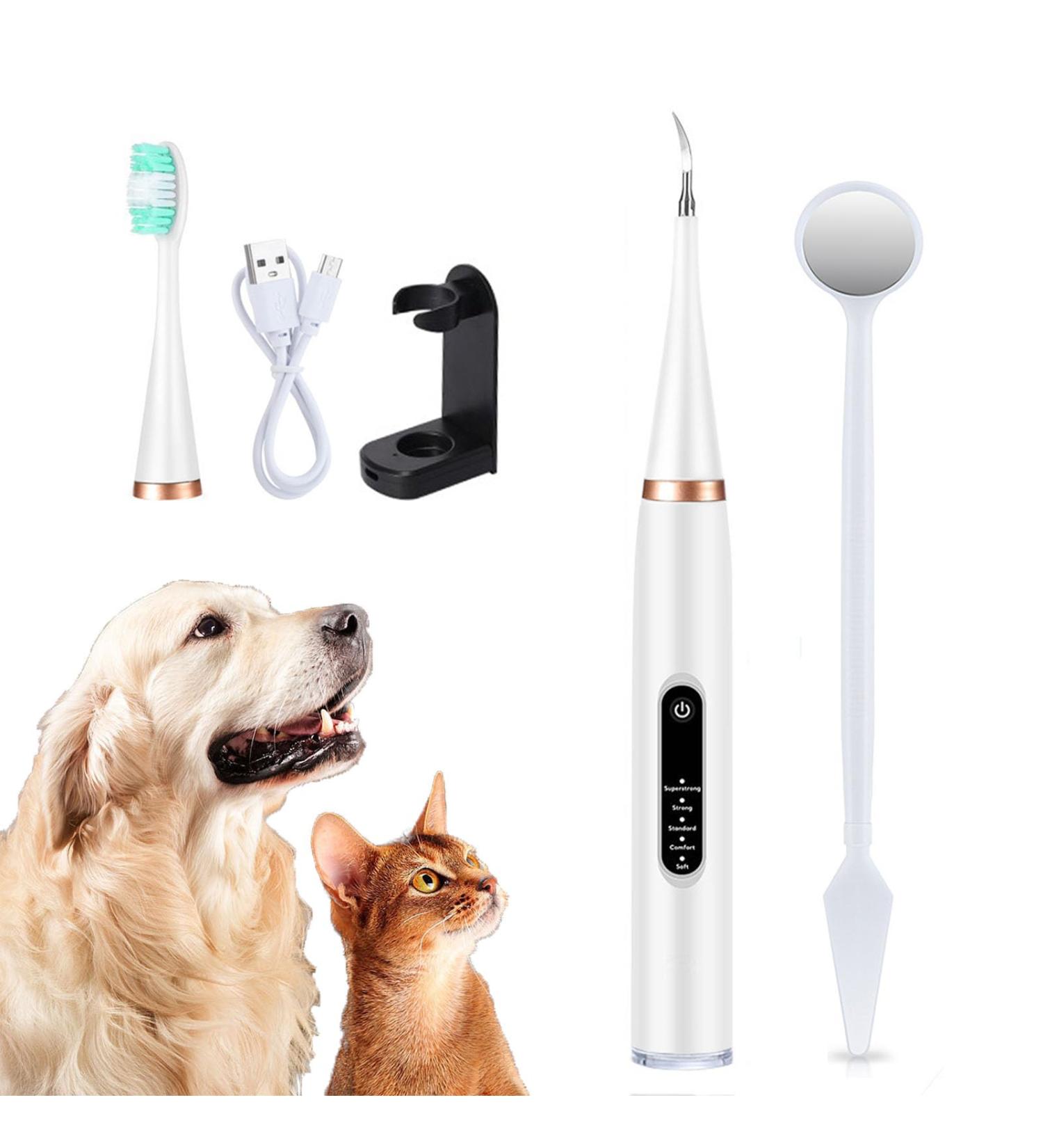 Canilab - Dental Scaler for Dogs Dog Plaque and Tartar Remover Dog Dental Cleaning Kit Equipped with 5 Adjustable Intensities (White one Size) - Buy Online on GoSupps.com