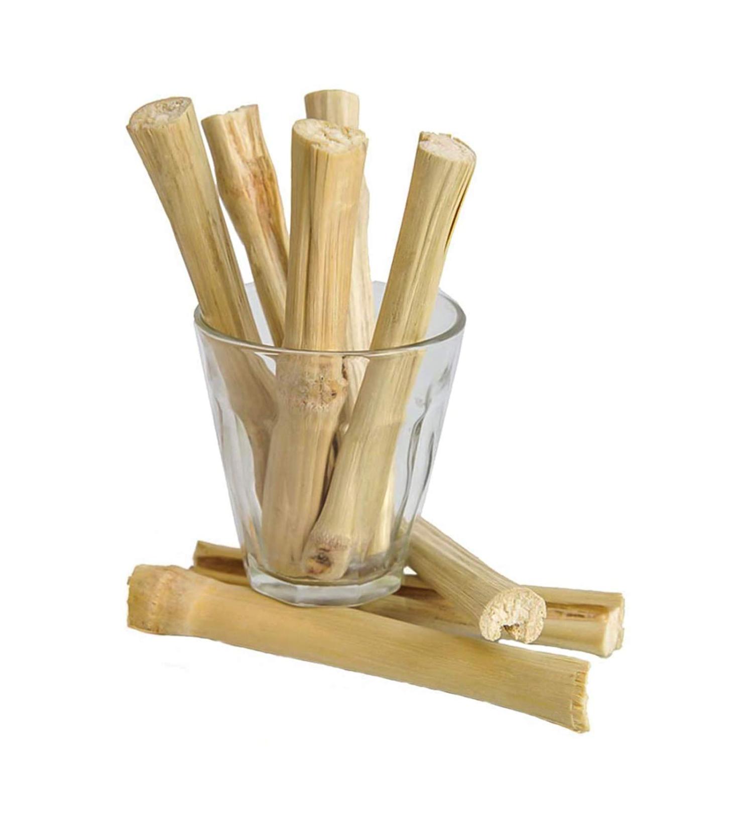BWOGUE 100g Sweet Bamboo Chew Toy for Small Pets - Squirrel, Rabbits, Guinea Pigs, Chinchilla, Hamster - Buy Online on GoSupps.com