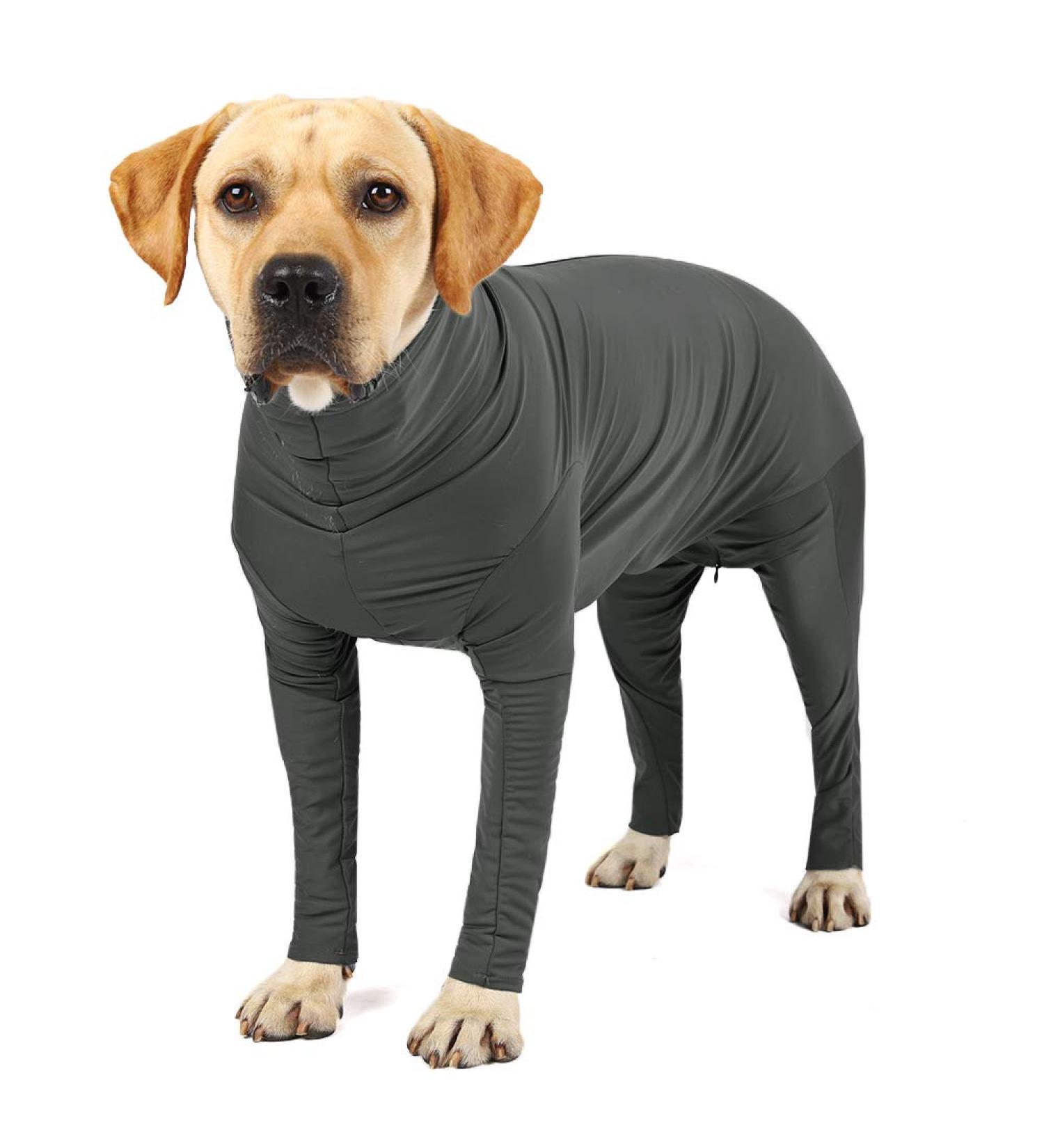 ETDANE Surgical Suit for Dogs - Post-Operation Recovery Pajamas for Male & Female Pets | Long-Sleeved Clamping Design in Small Gray - Buy Online on GoSupps.com