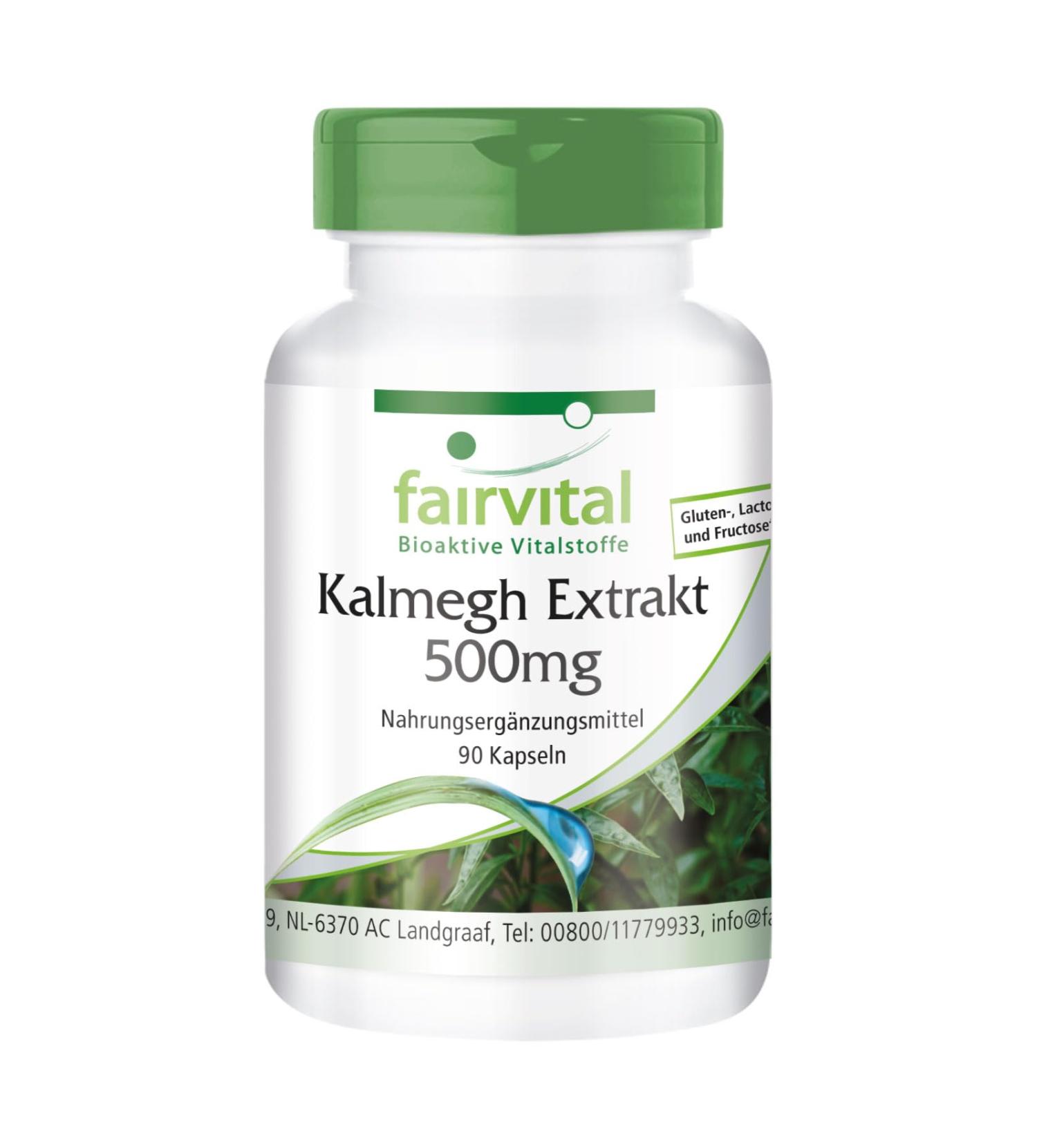 Fairvital Kalmgh Extract 500 mg - 90 Vegan Capsules | High Dose 5-Fold Extract from Kalmegh Leaf - Quality Checked - Made in Germany - Buy Online on GoSupps.com