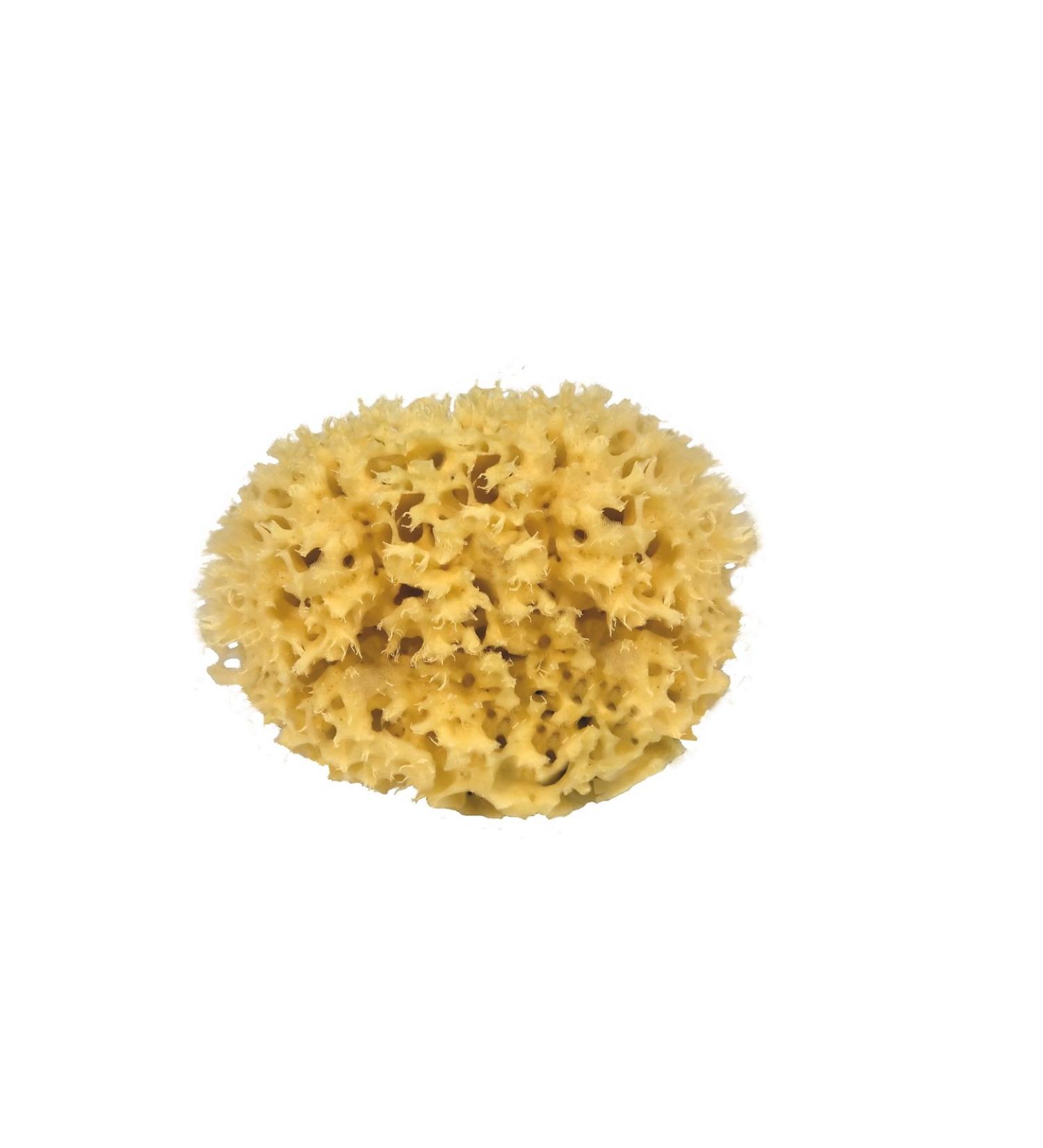 CROLL & DENECKE M140 Natural Sea Sponge - Hand-Finished 14 cm | Eco-Friendly Bath & Spa Essentials - Buy Online on GoSupps.com