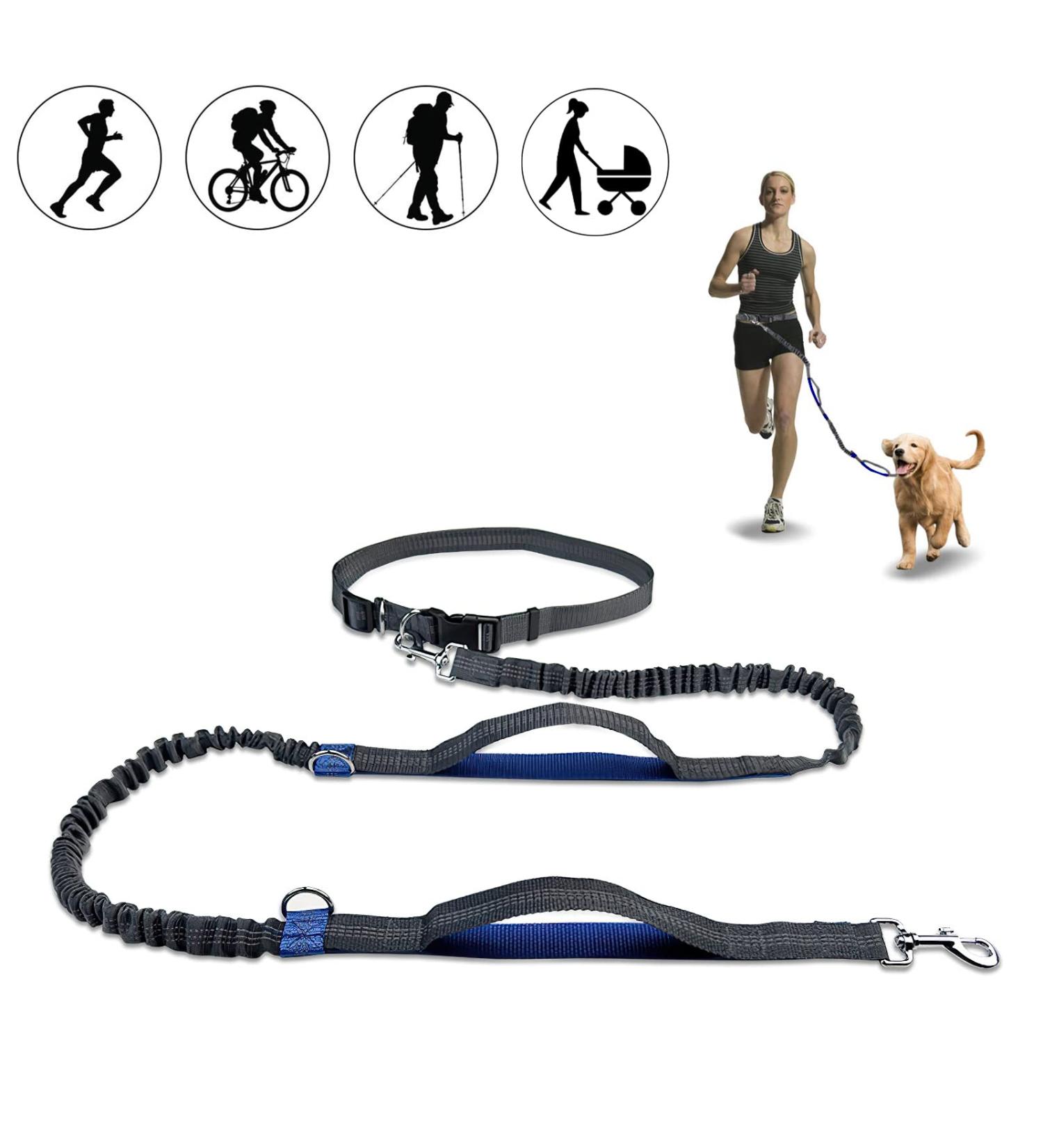 Hands Free Dog Leash Retractable Dog Leash Running with Dual Bungees for Medium and Large Dogs Adjustable Waist Belt Reflective Stitching Leash for Running Walking Hiking Jogging Biking (Blue) - Buy Online on GoSupps.com