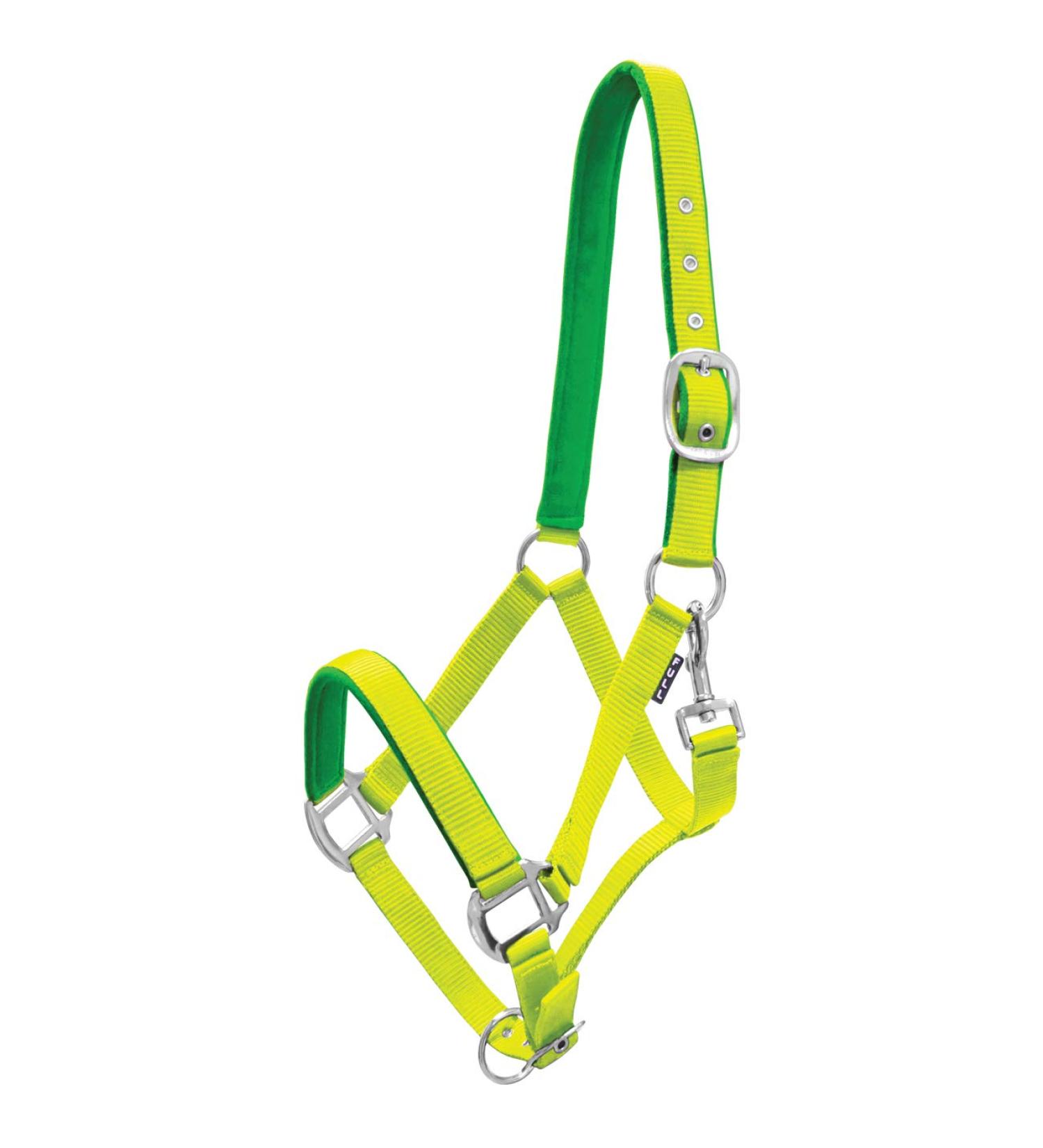 York horse halter Milo nylon halter soft padding stable halter pasture halter noseband (Cob lime yellow) Cob lime yellow