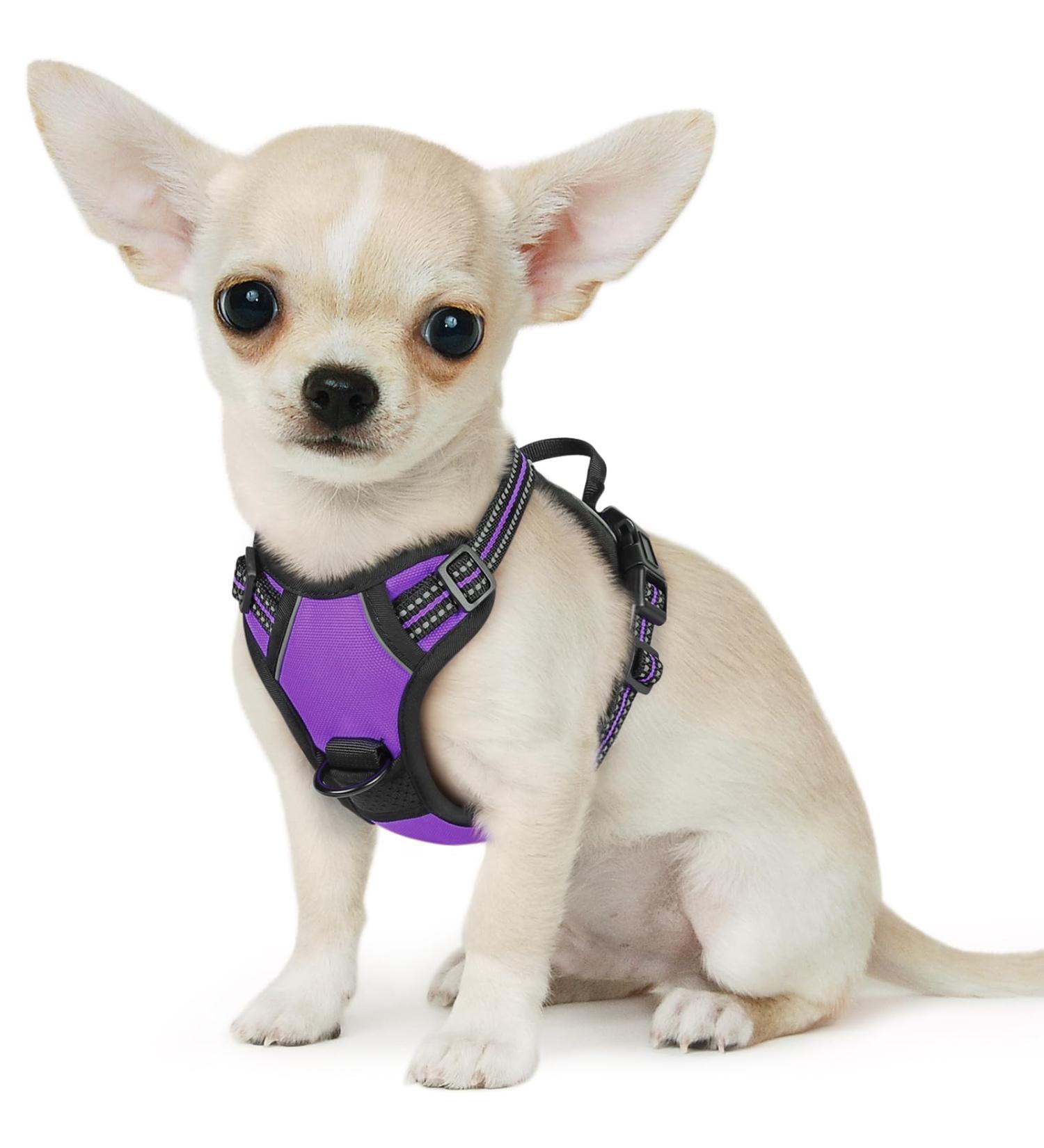 Eagloo Small Dog Harness - Adjustable Anti-Train Harness with Reflex Strips for Walking & Jogging - Durable Purple XS (1 Pack) - Buy Online on GoSupps.com