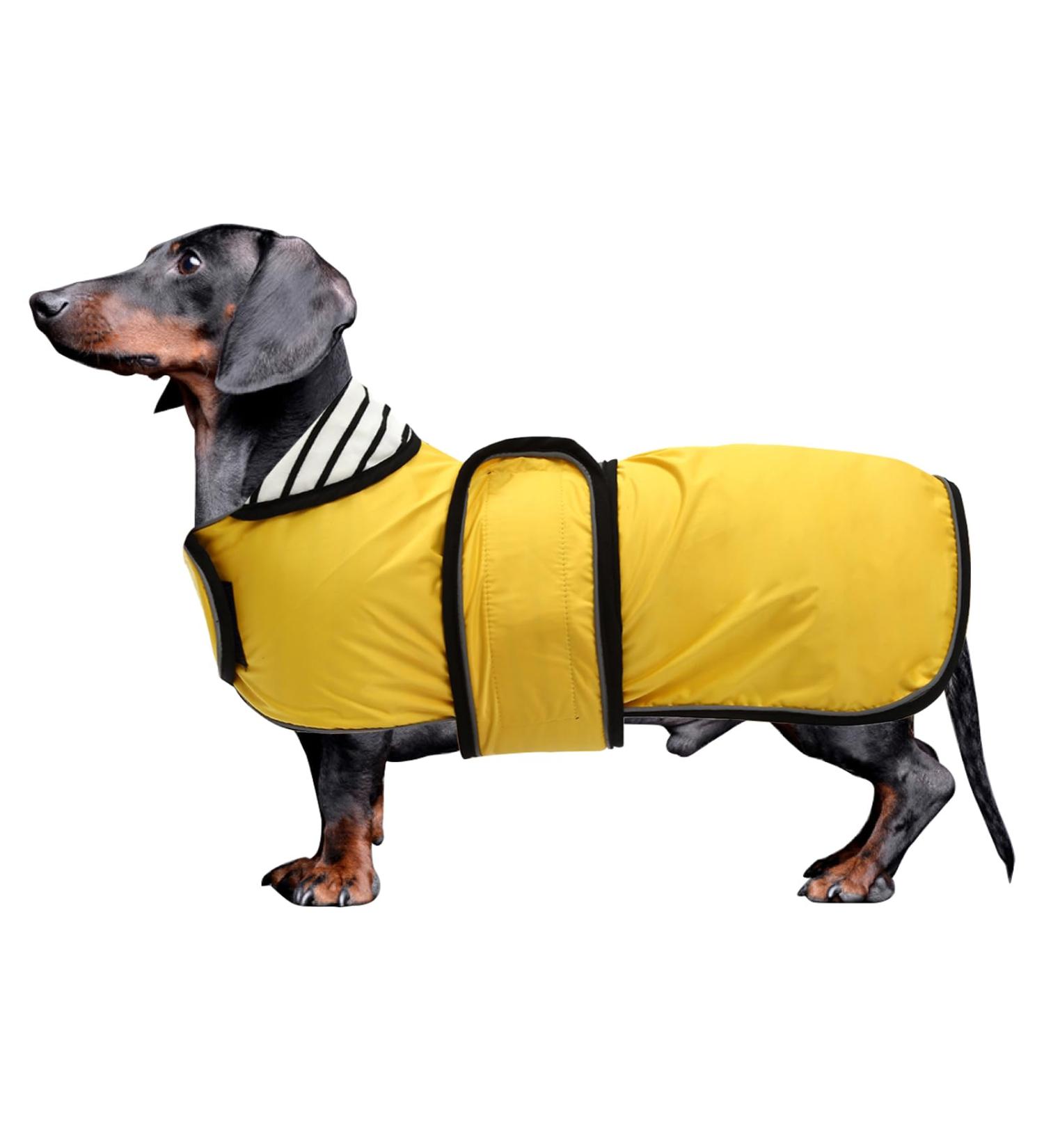 Minezis Waterproof Dog Coat with Reflex Strips | Adjustable Vest for Small & Medium Dogs (Dachshund Yellow Size S) - International Shipping Available - Buy Online on GoSupps.com