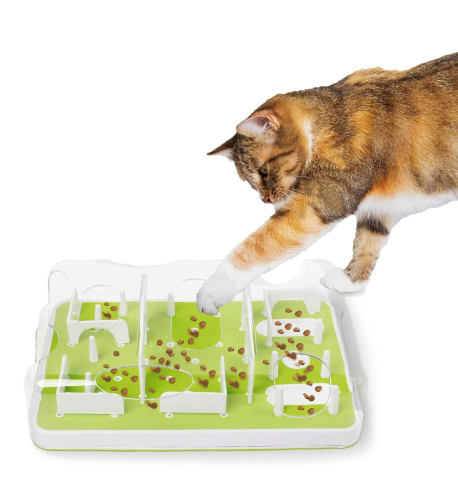 All for Paws Interactive Cat Feeder Toy - Brain Stimulation Puzzle Game for Indoor Cats - Buy Online on GoSupps.com