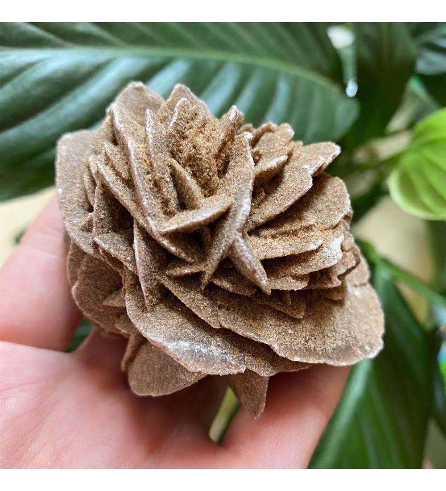Natural Magic Natural Desert Rose Raw Stone Crystal Home Office Specimen Gift ZJGIDTEM (Size : 210-250g) - Buy Online on GoSupps.com