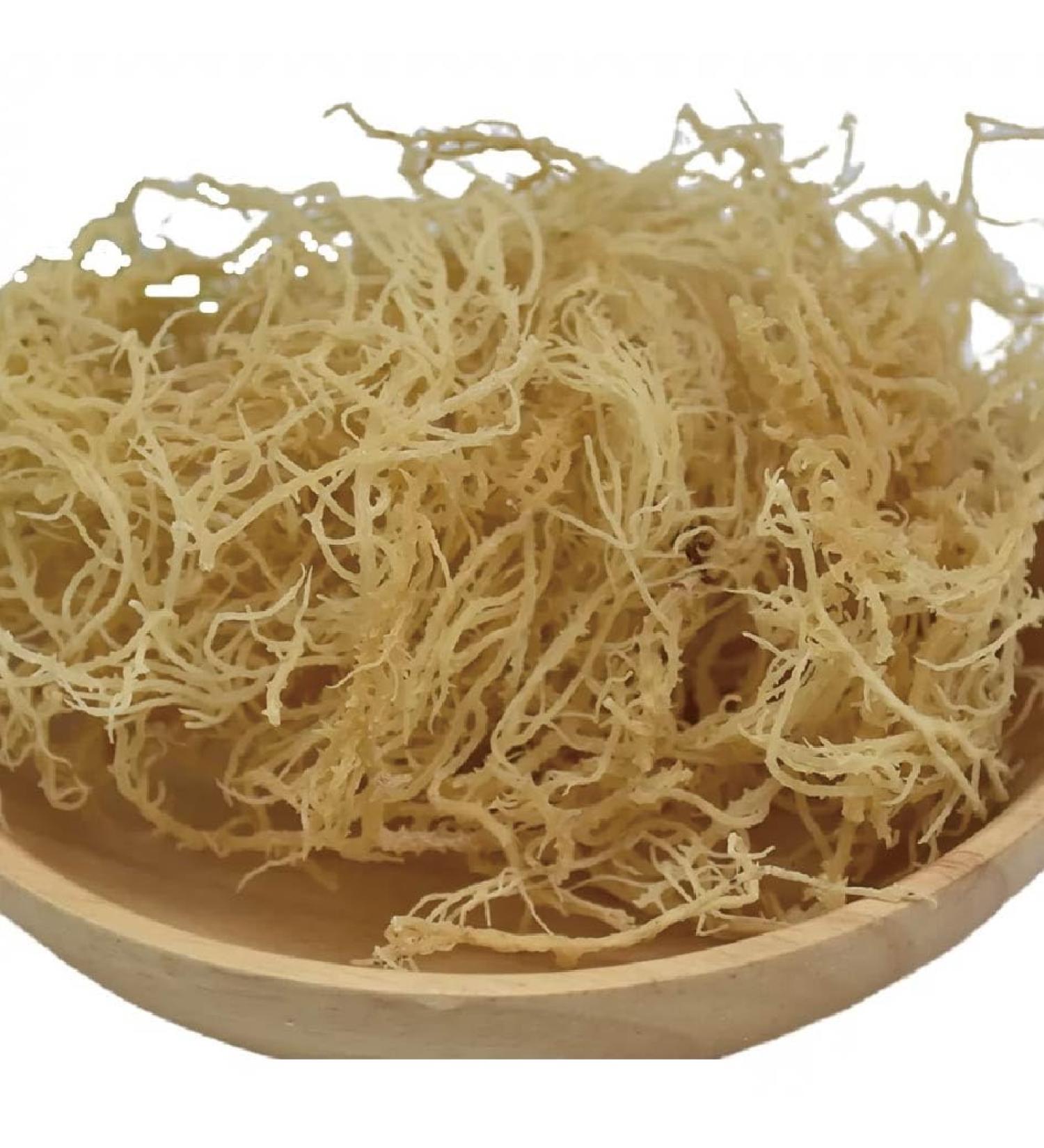 Fujian Friday Sea moss gold sun dried raw 33 lb52 oz - Buy Online on GoSupps.com