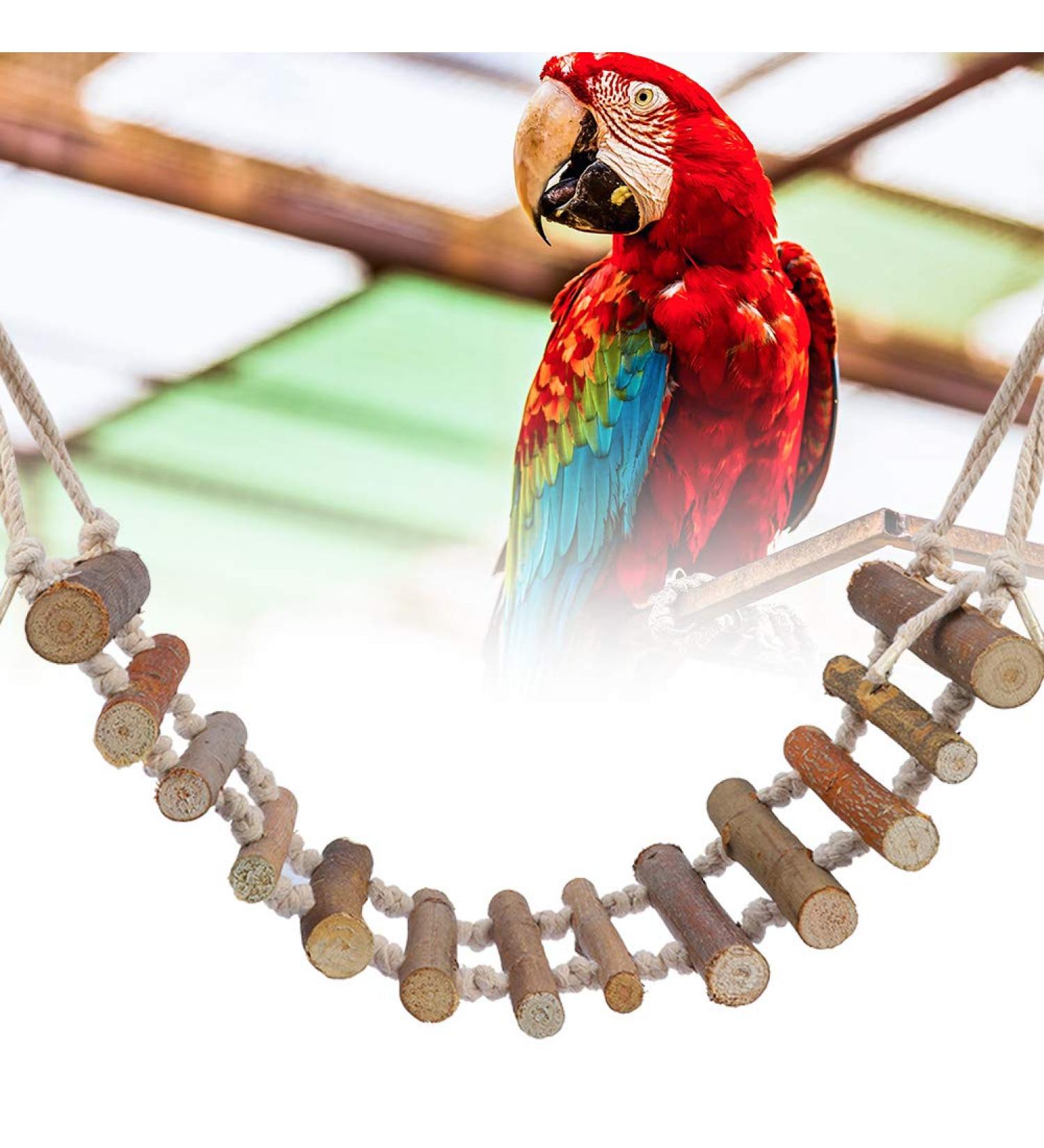 Zerodis Wooden Ladder for Birds | Parrot Climbing Bridge & Pet Toys | Durable Hammock & Toy for Birds - Buy Online on GoSupps.com